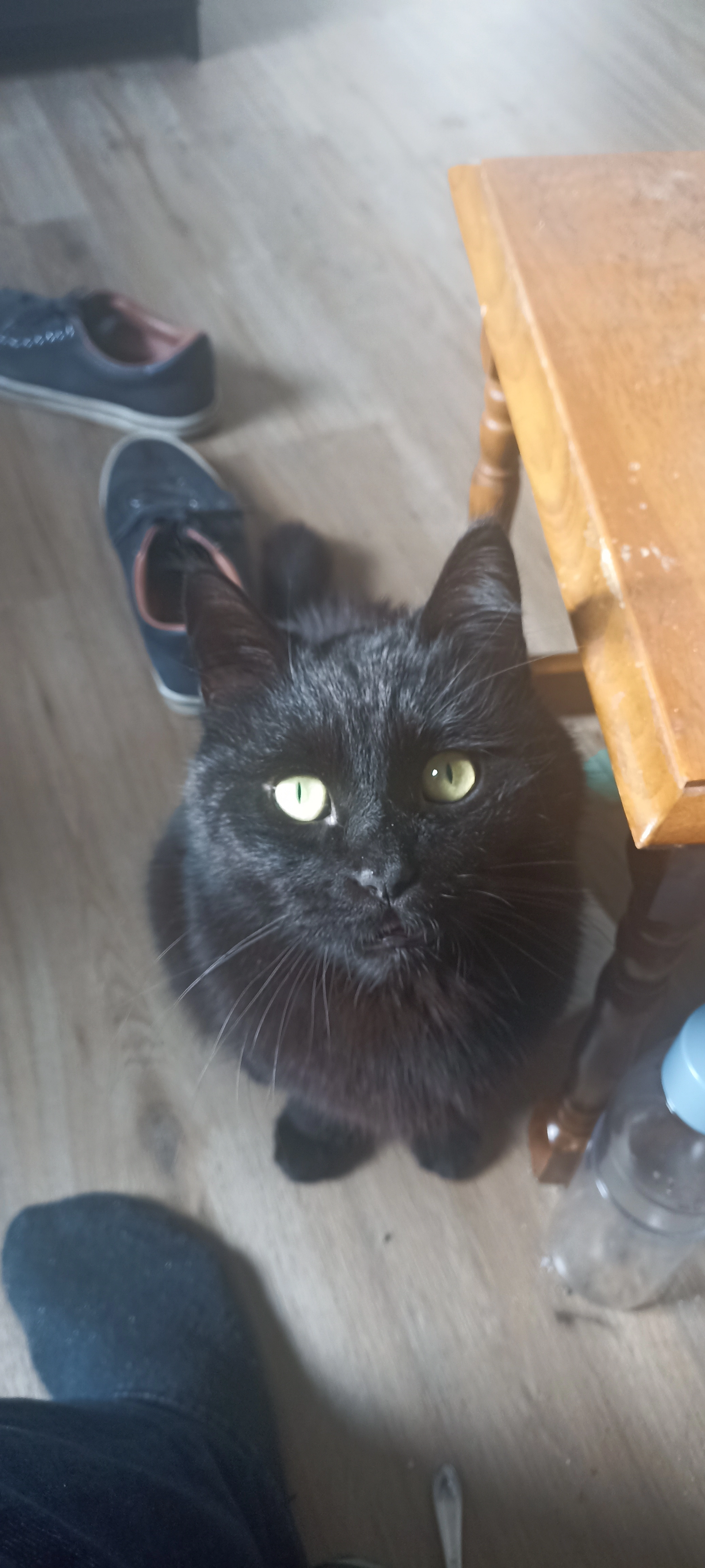 Avocato - Erich-Klabunde-Straße, Uelzen