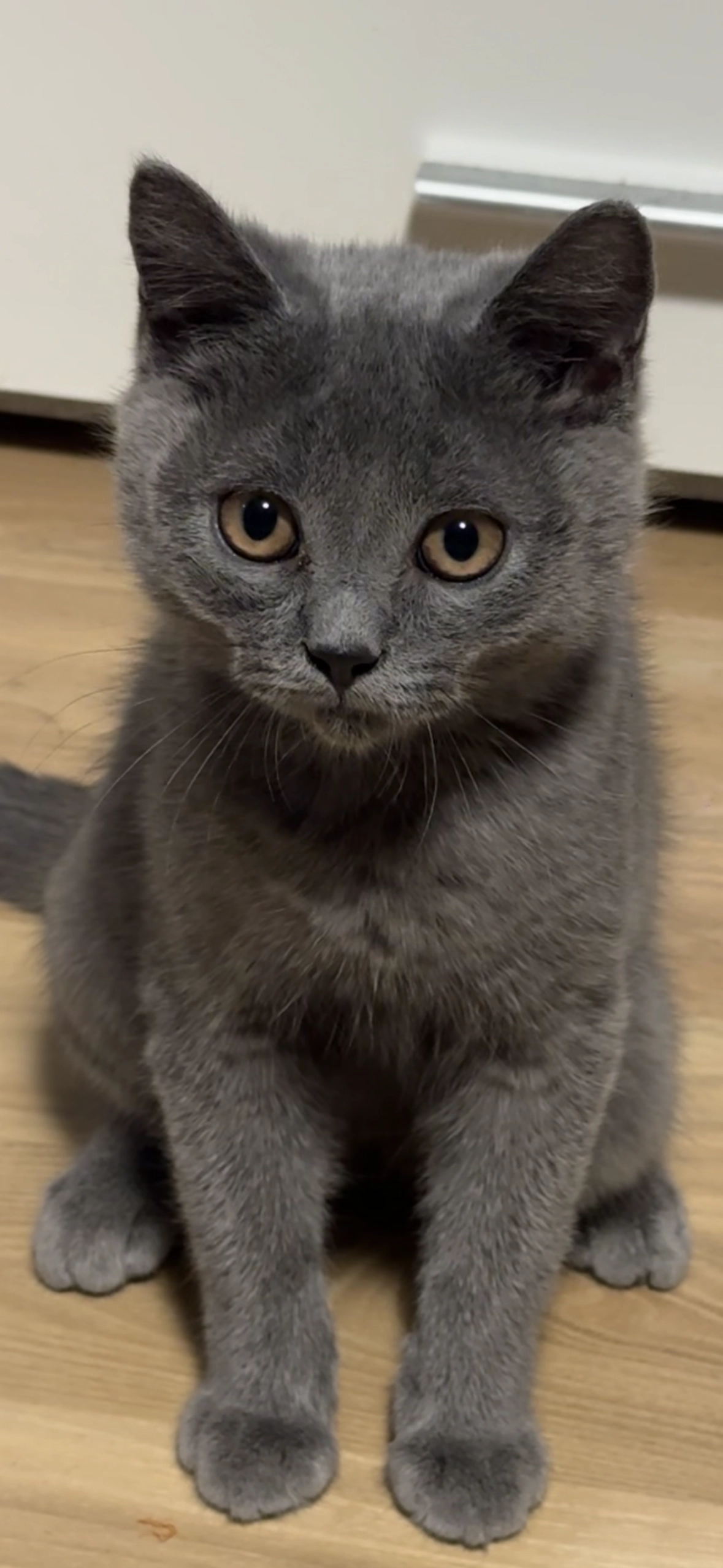 Pamuk - Paradiesstraße, Kirchheim unter Teck