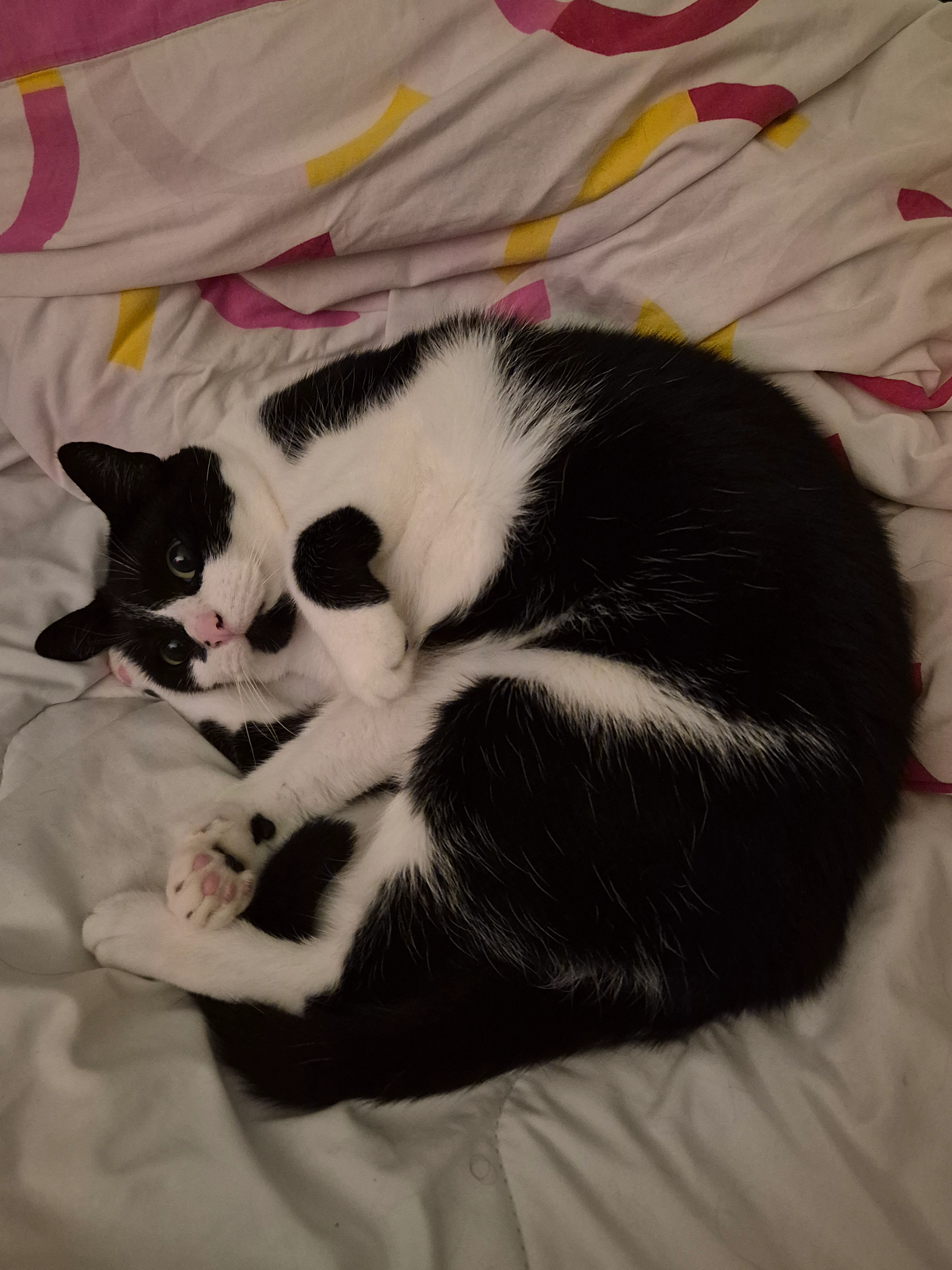 Ushi - David Blesstraat, Den Haag