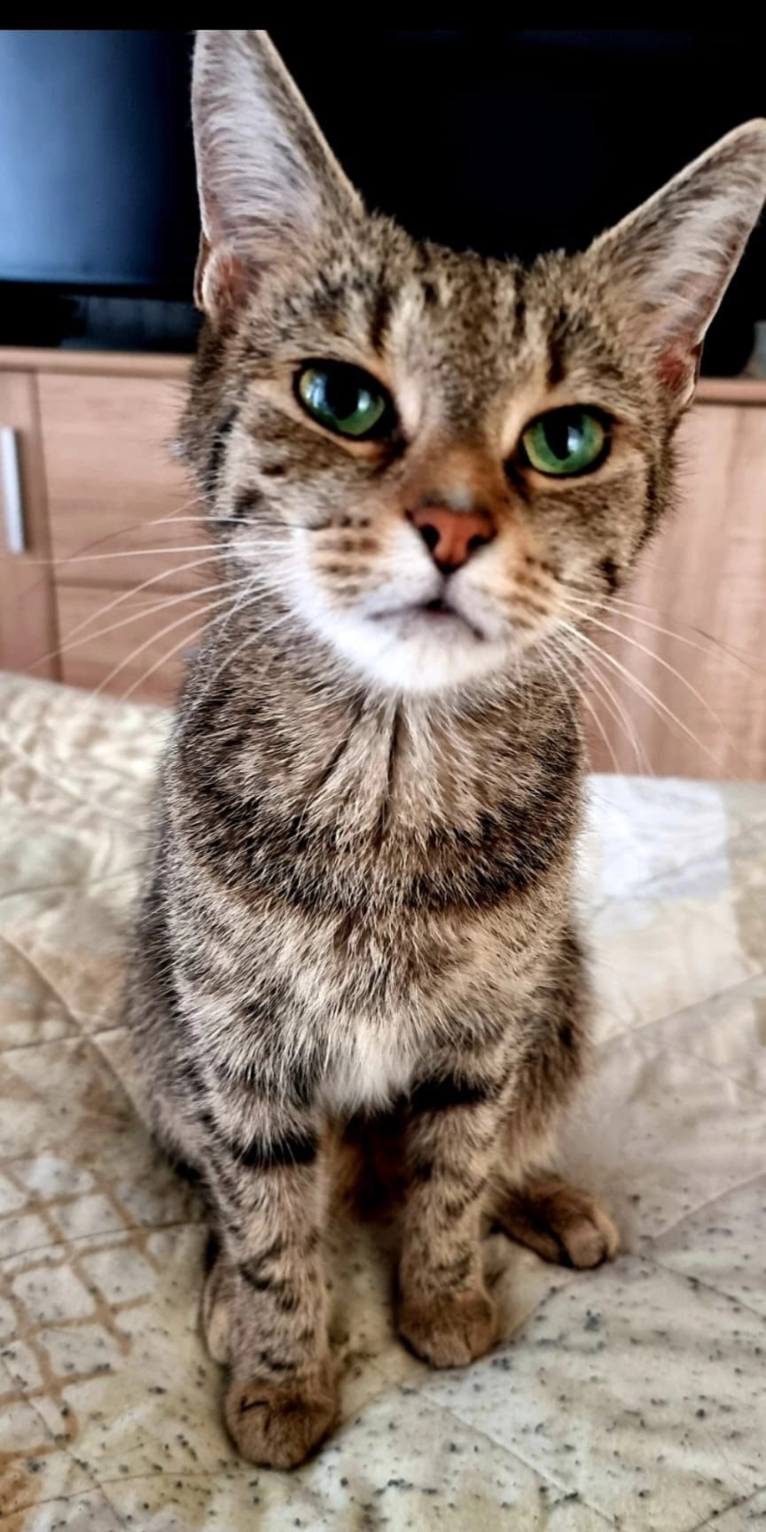 Mila - Florstädter Straße, Friedberg