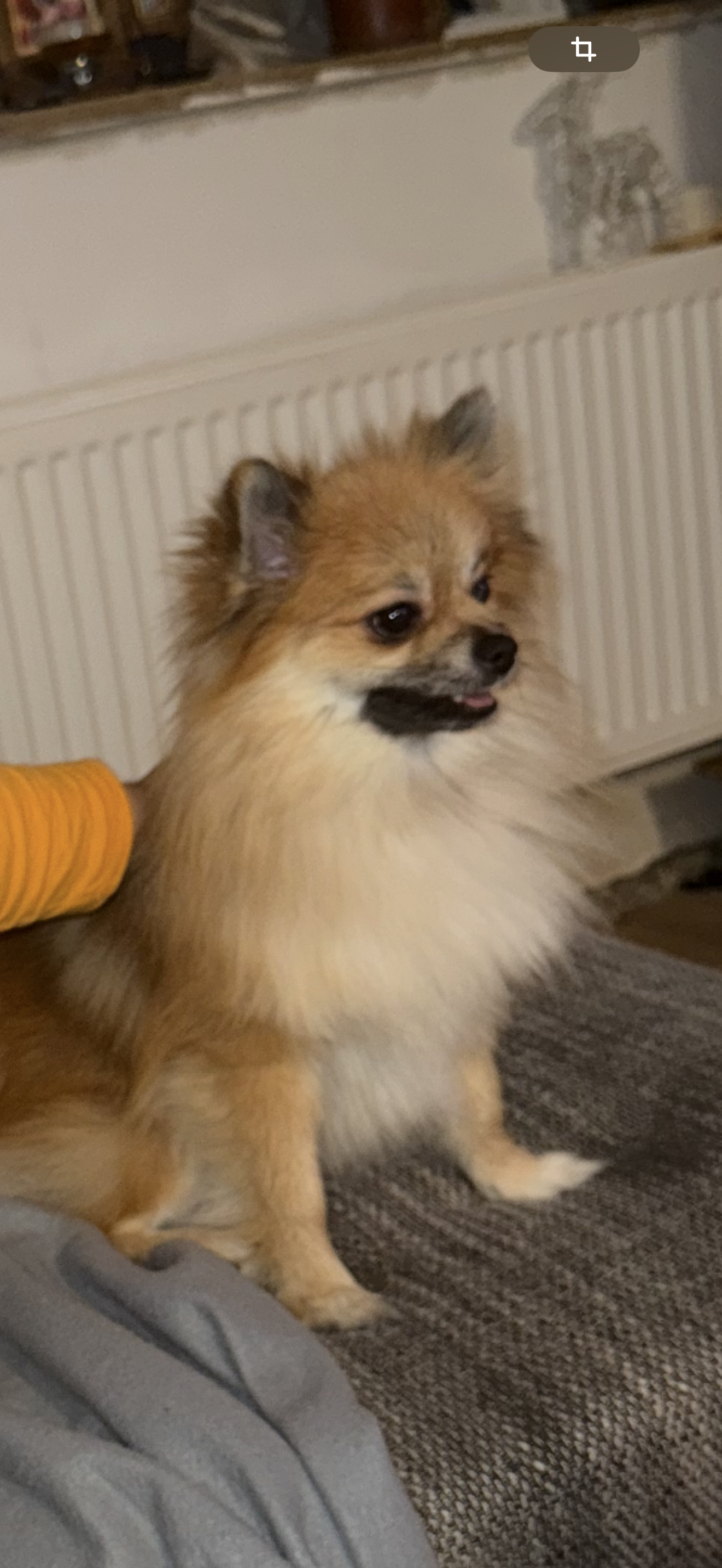 Maya - Wölferlinger Straße, Freilingen