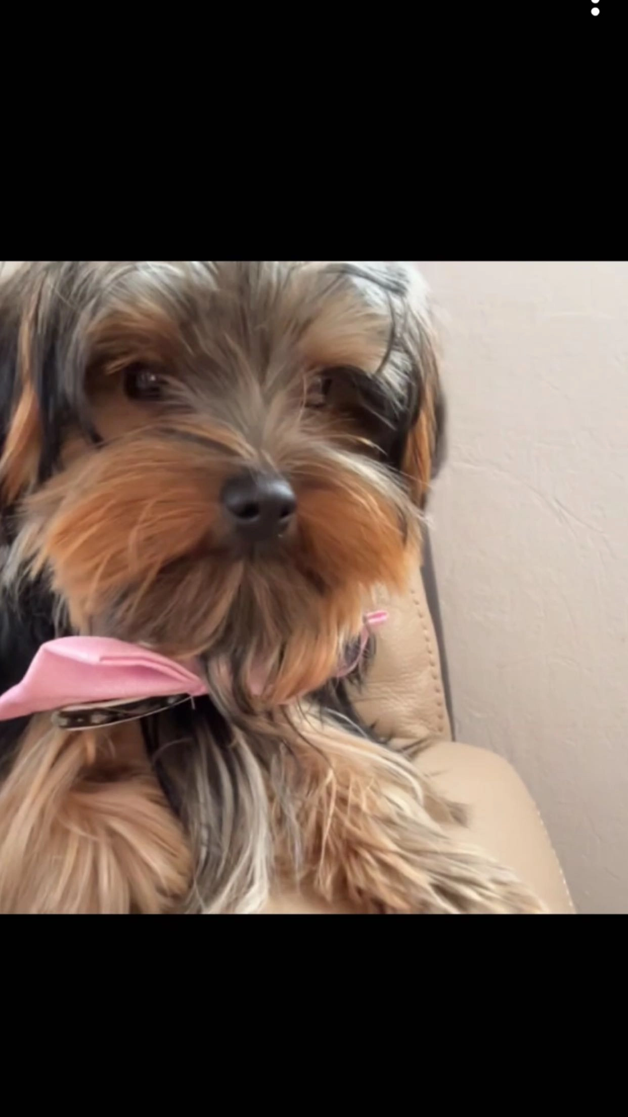 Venus - Route Du Millénaire, Vourles