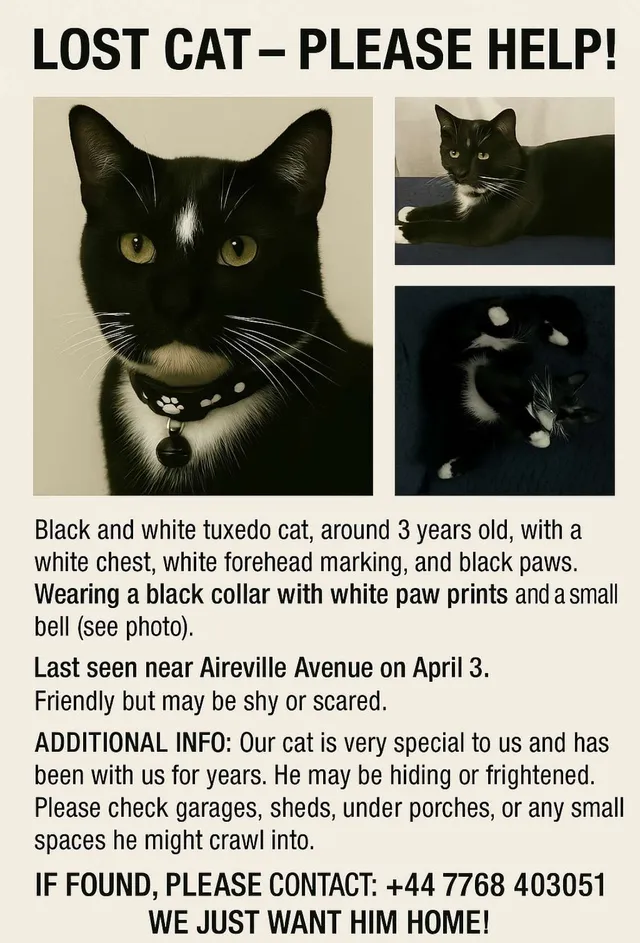 Oreo  - Aireville Grove, Shipley