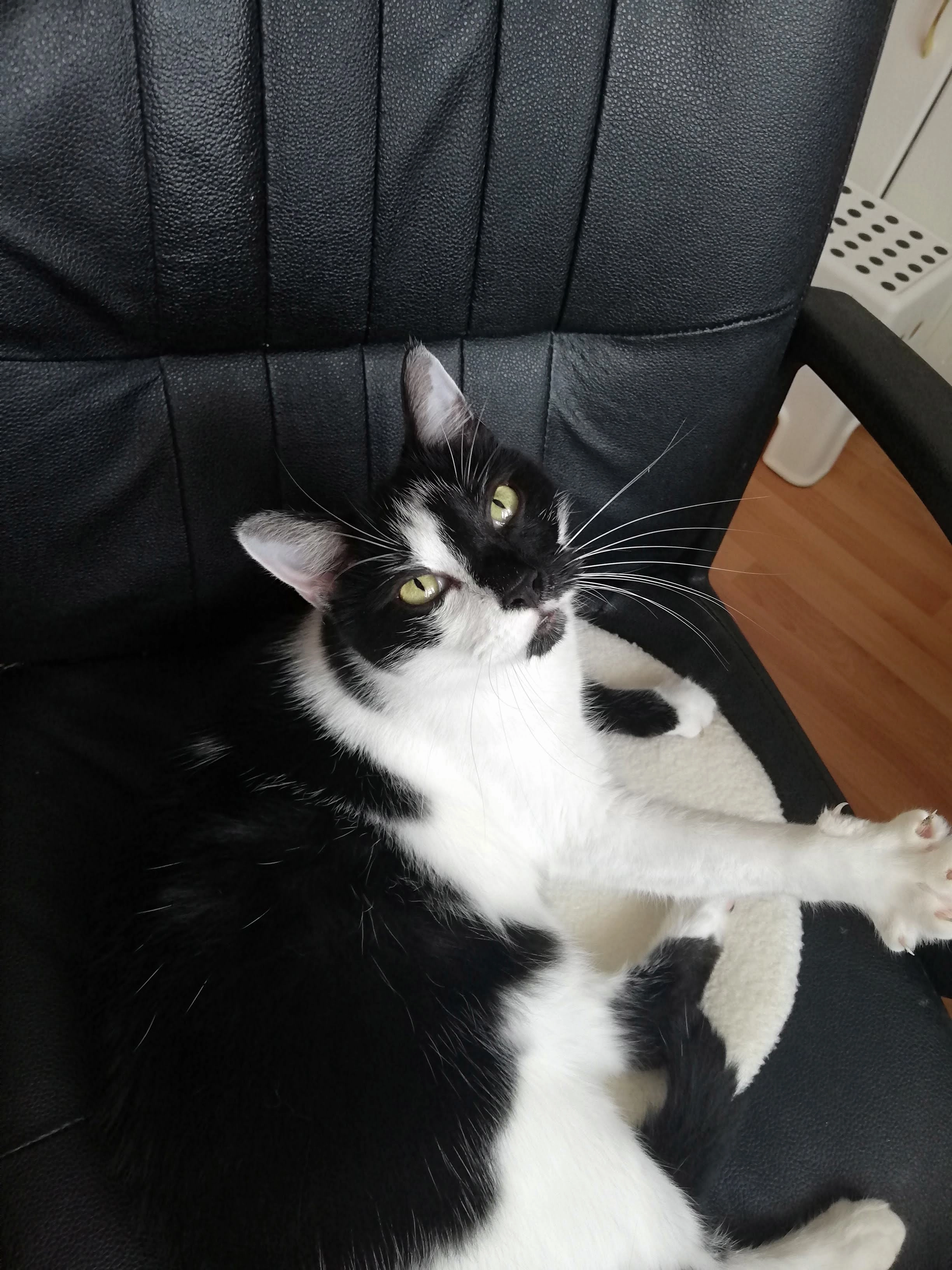 Micu - Munkácsy Mihály Utca, Pécs