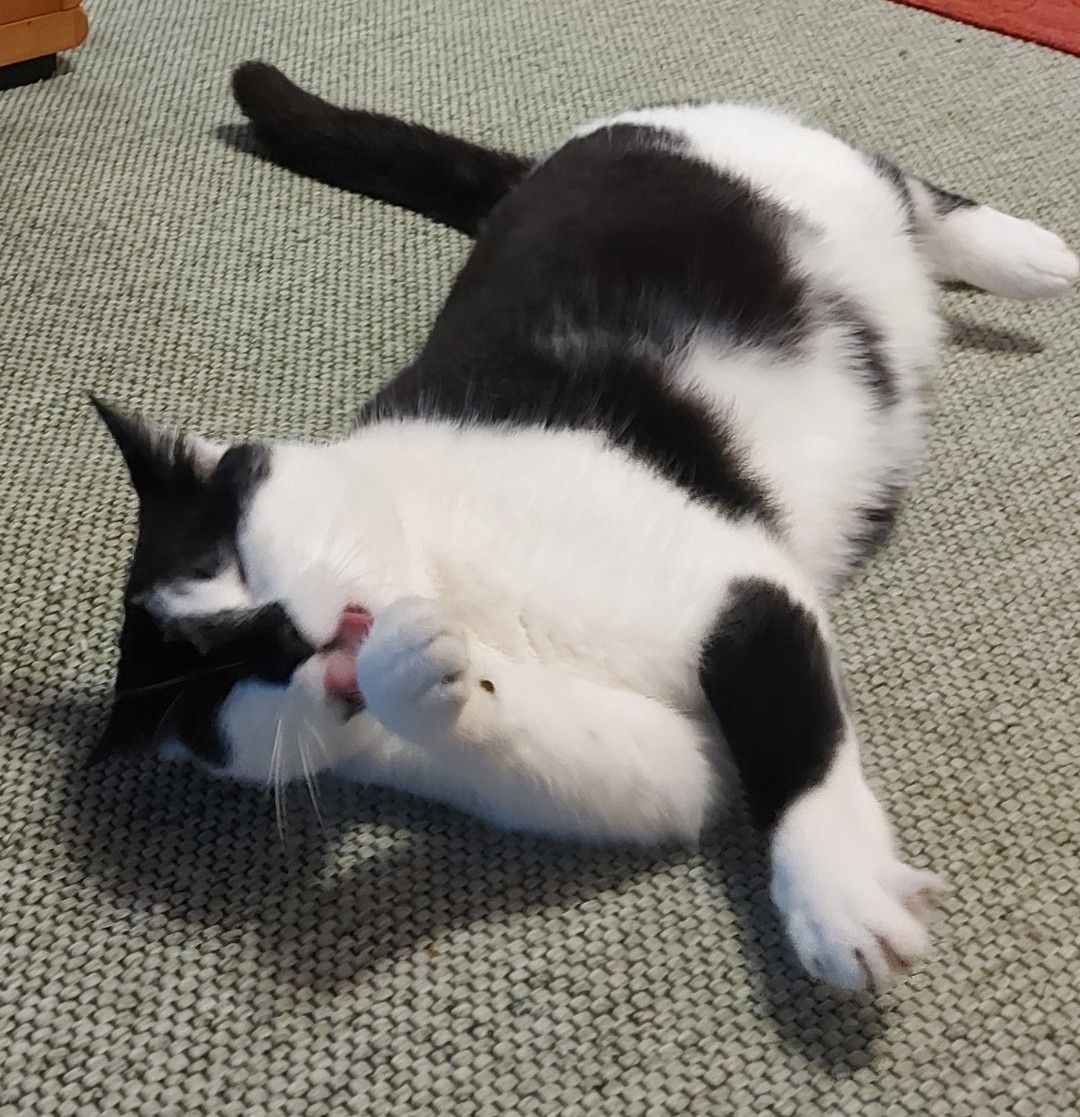 Piri - Altenhof 8, Sande