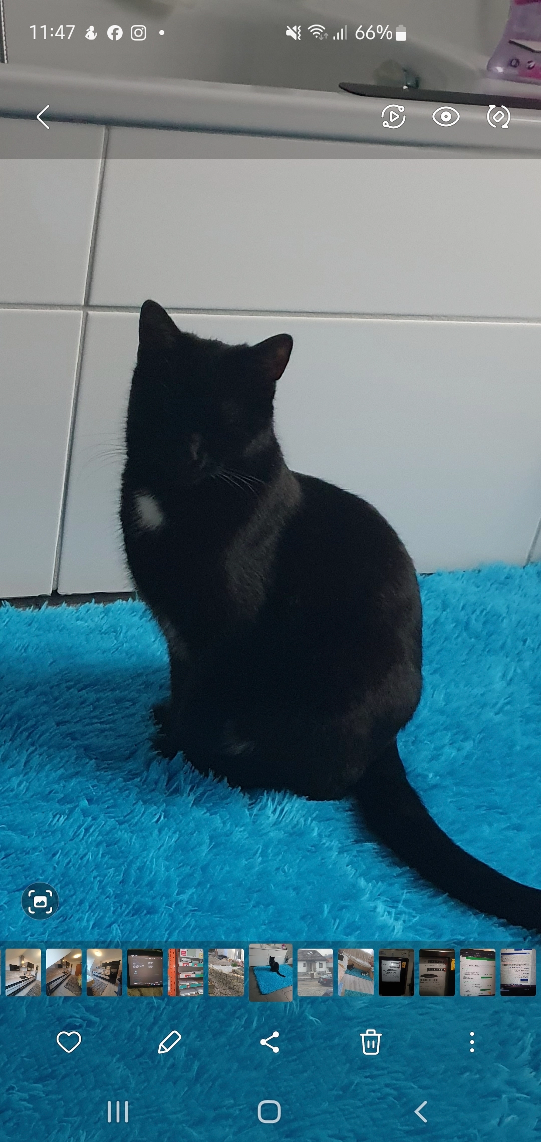 Felix - Lönsstraße, Regenstauf