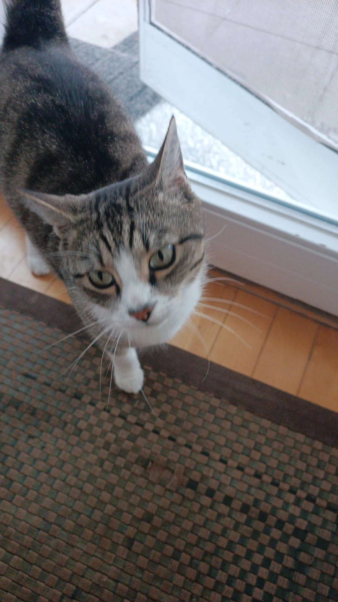 Karle  - Parkstraße, Riedlingen