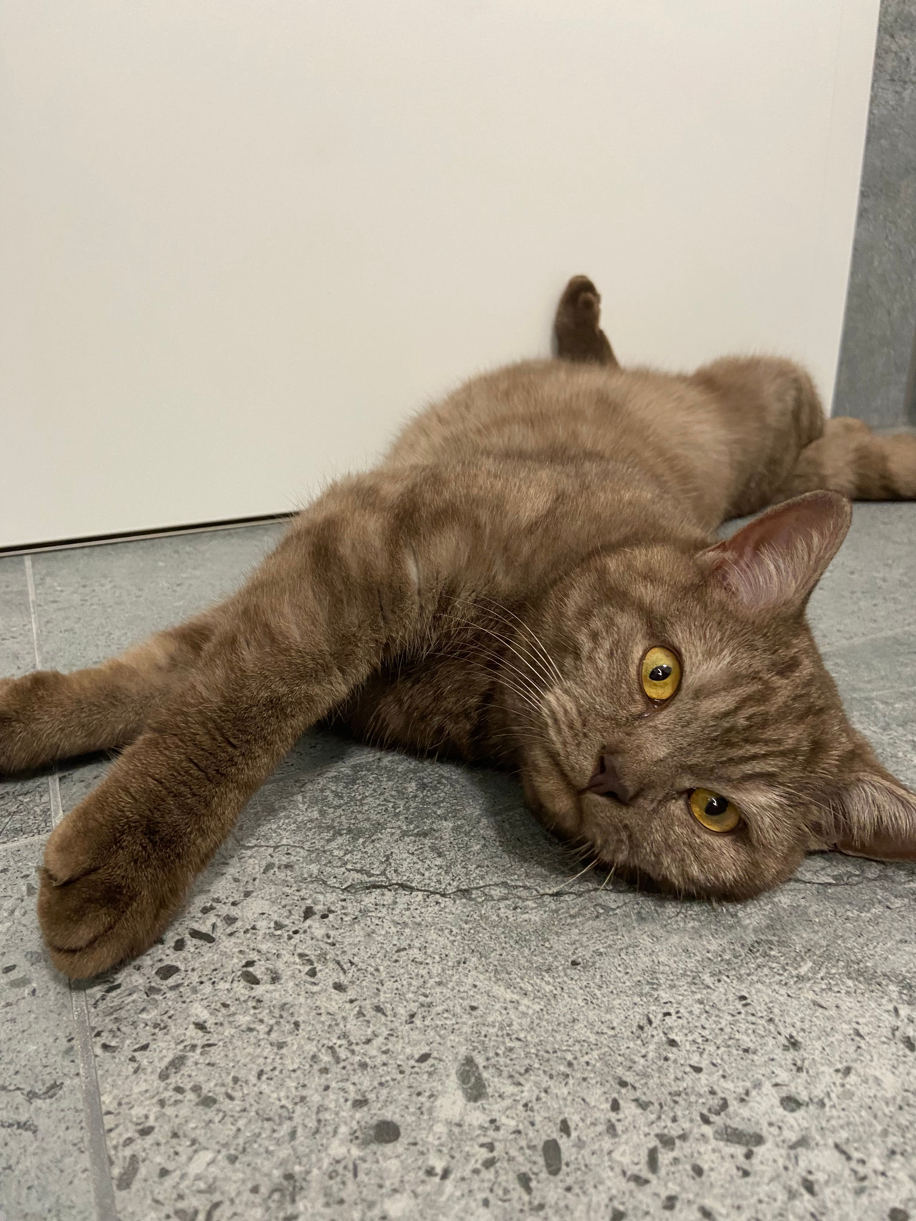 Tequila - Steinwaldstraße, Marktredwitz