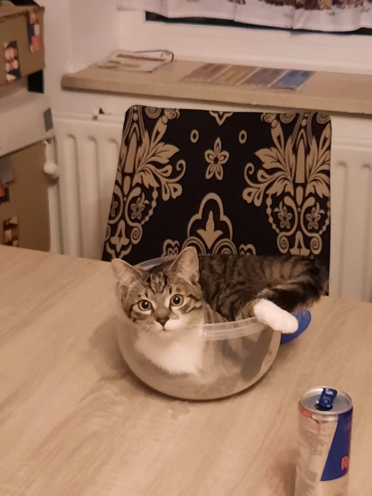 Lucky - Einöd, Dietramszell