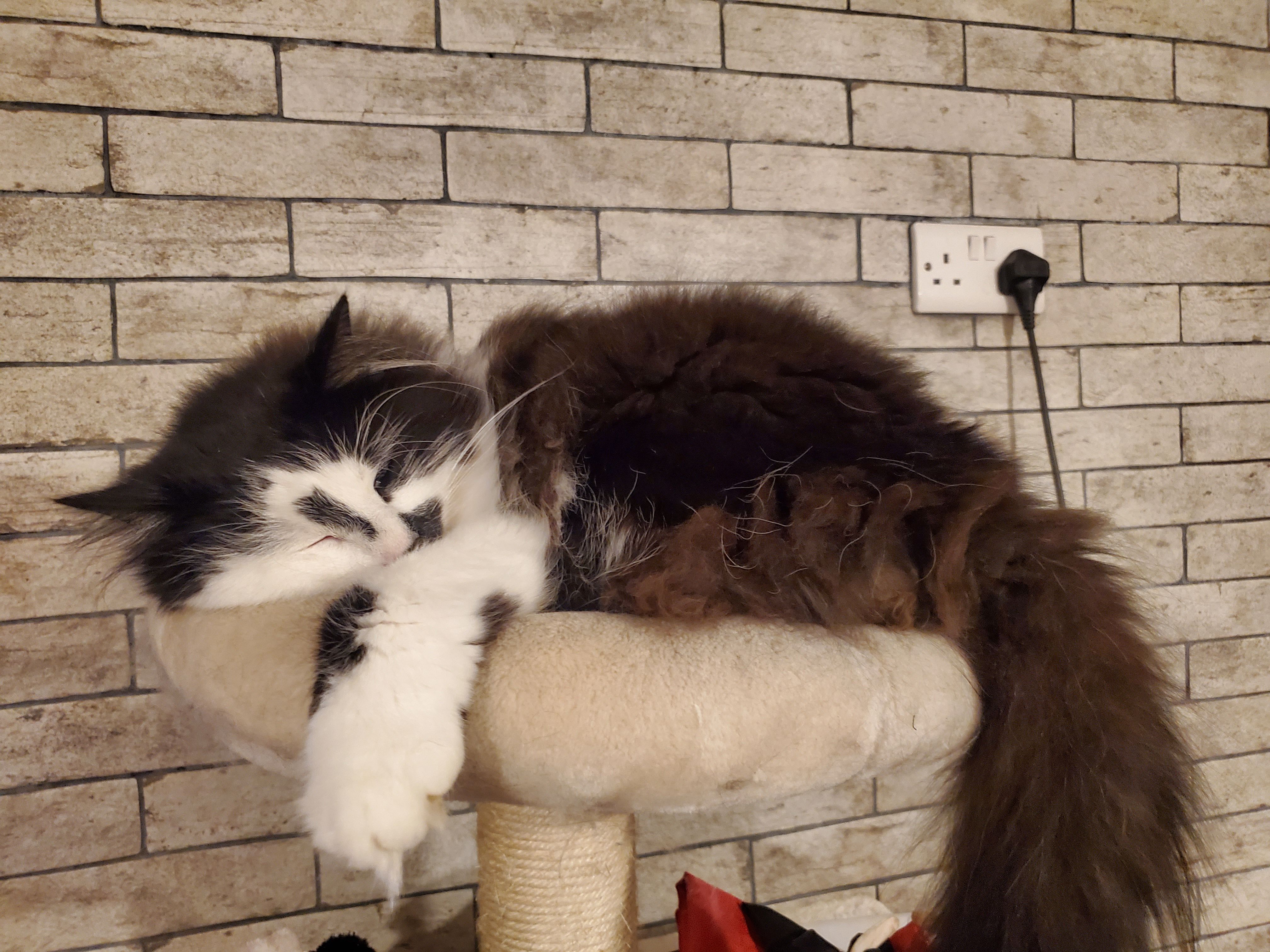 Graphic - Stoneleigh, Bristol