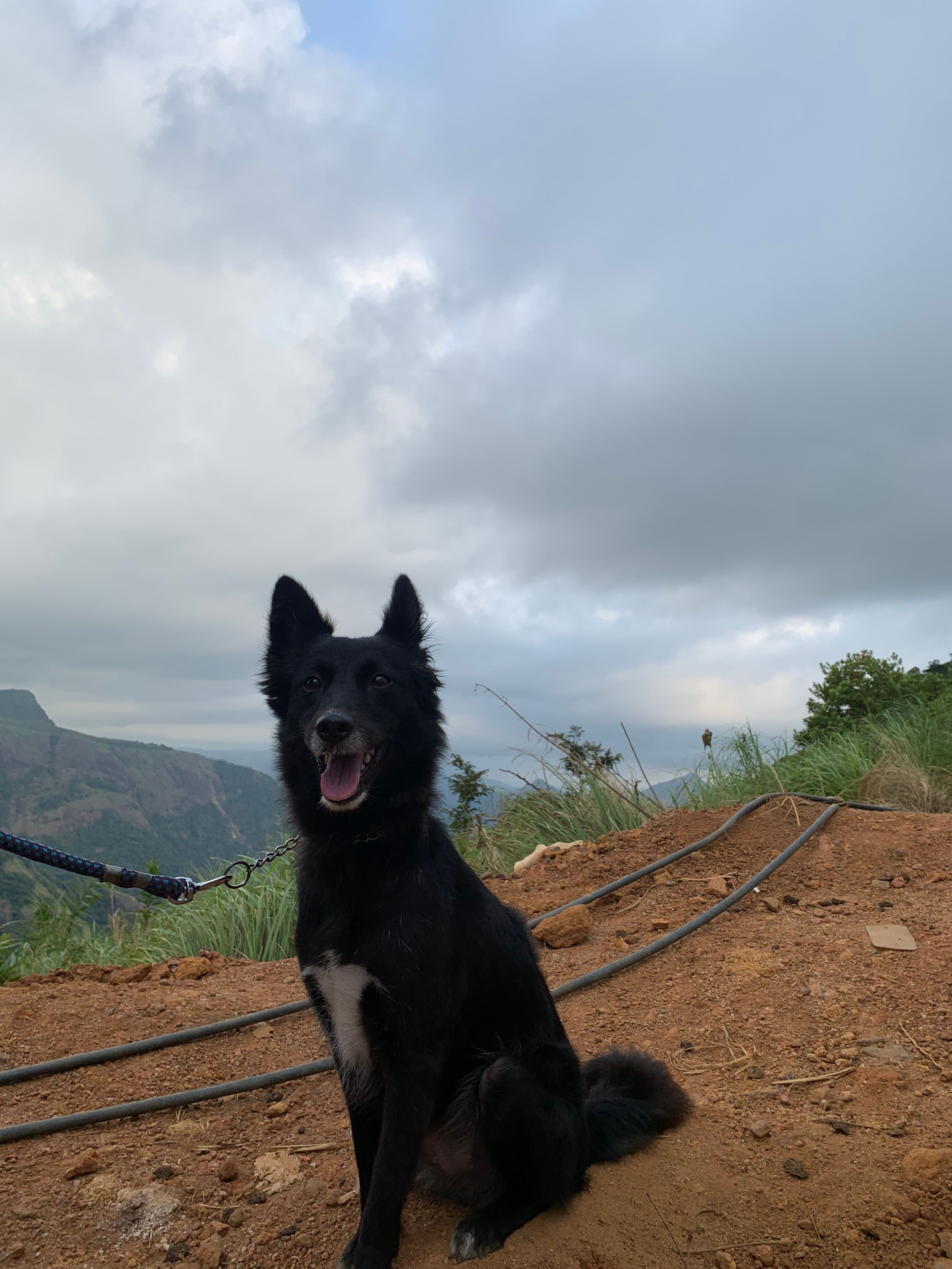 Buddy - Bhagya Nagar 1st Lane, Ongole mandal