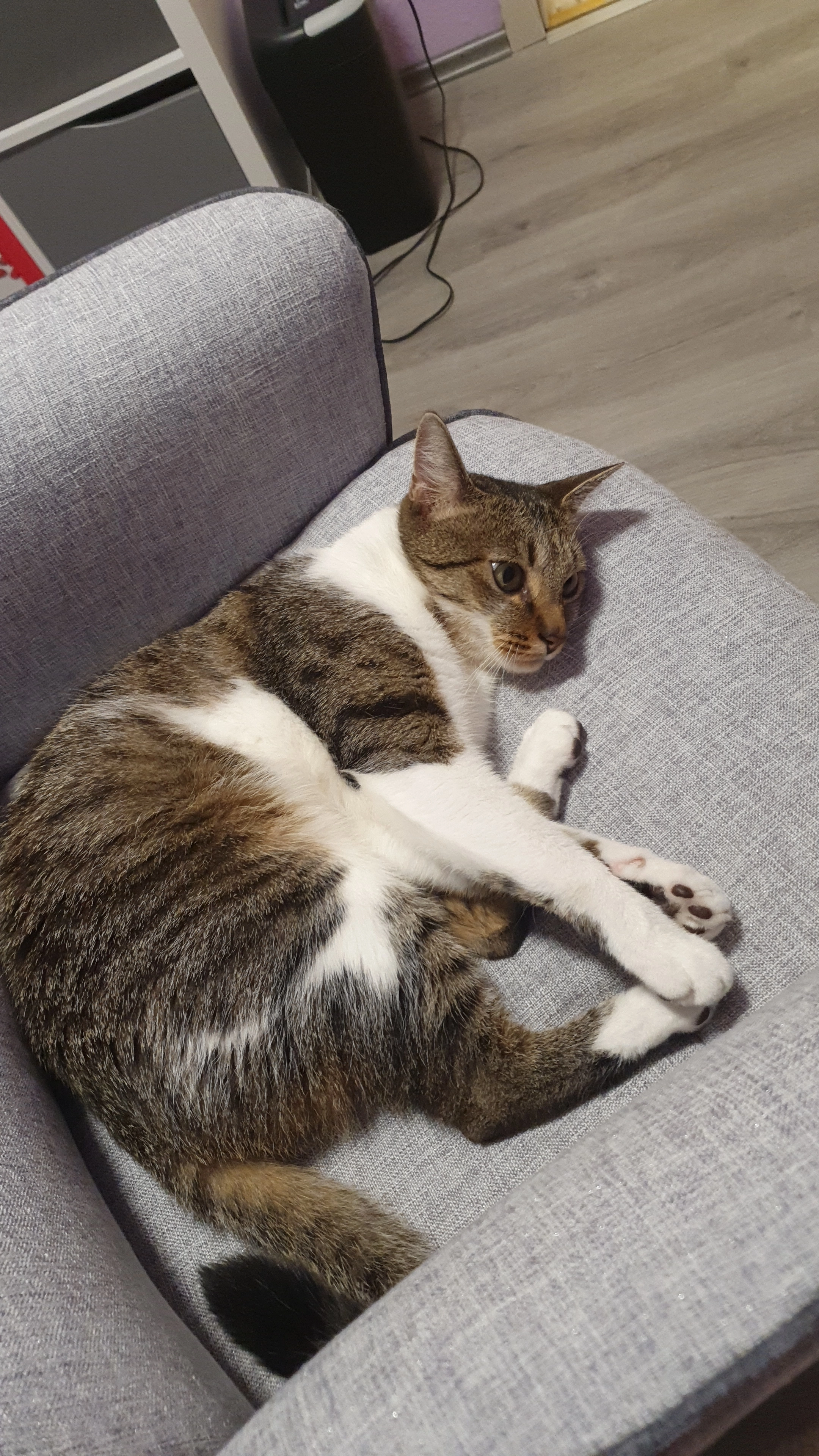 Mango - Kurpfalzstraße, Maxdorf