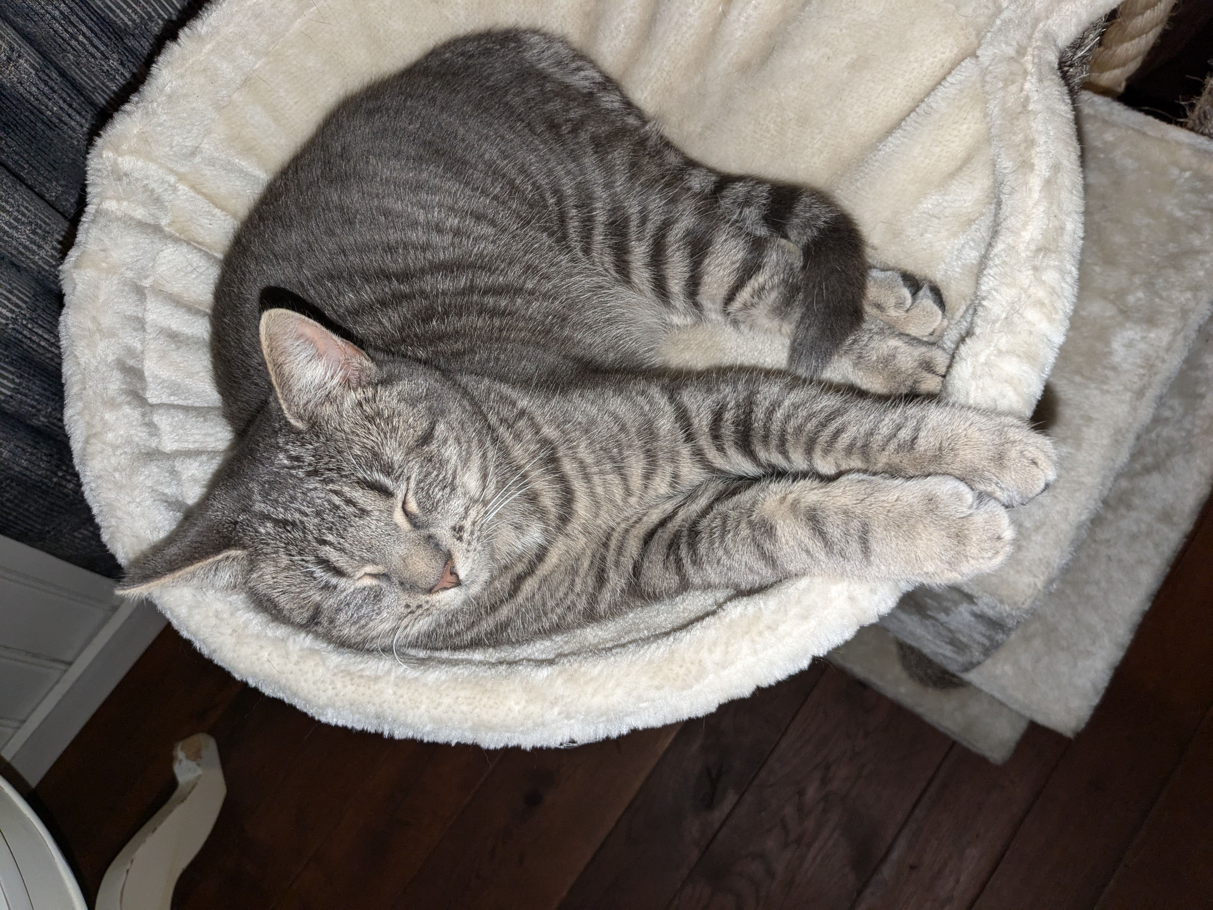 Loona - Hooilandseweg, Roodeschool