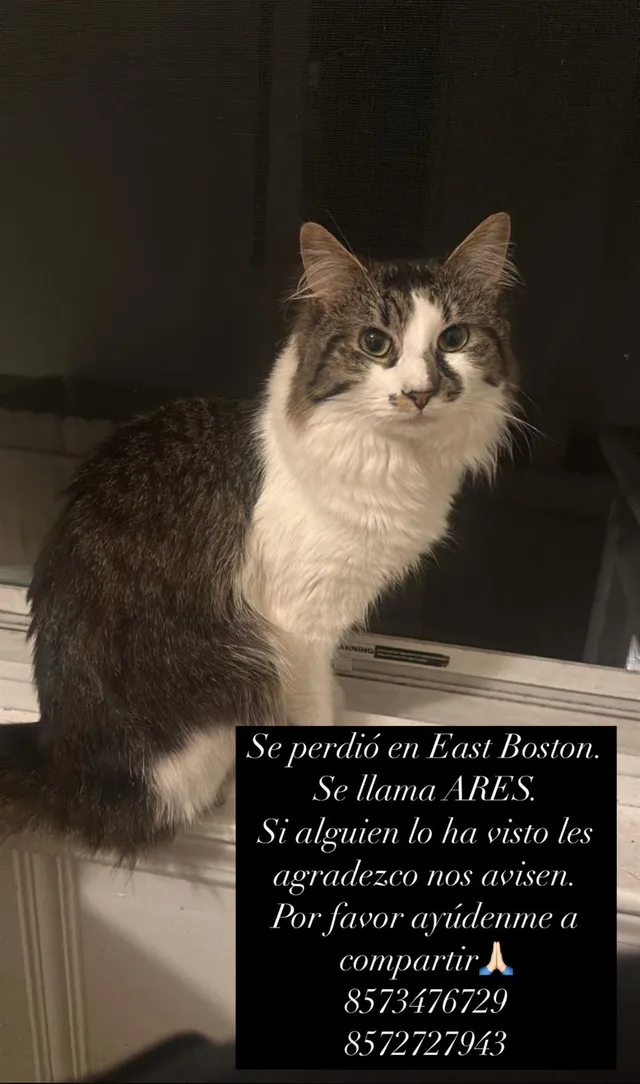Ares  - Eutaw St, East Boston