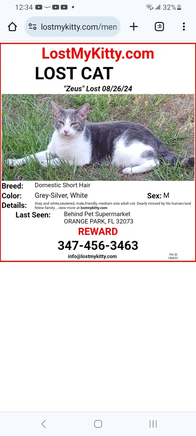 Zeus  - Blanding Boulevard, Orange Park
