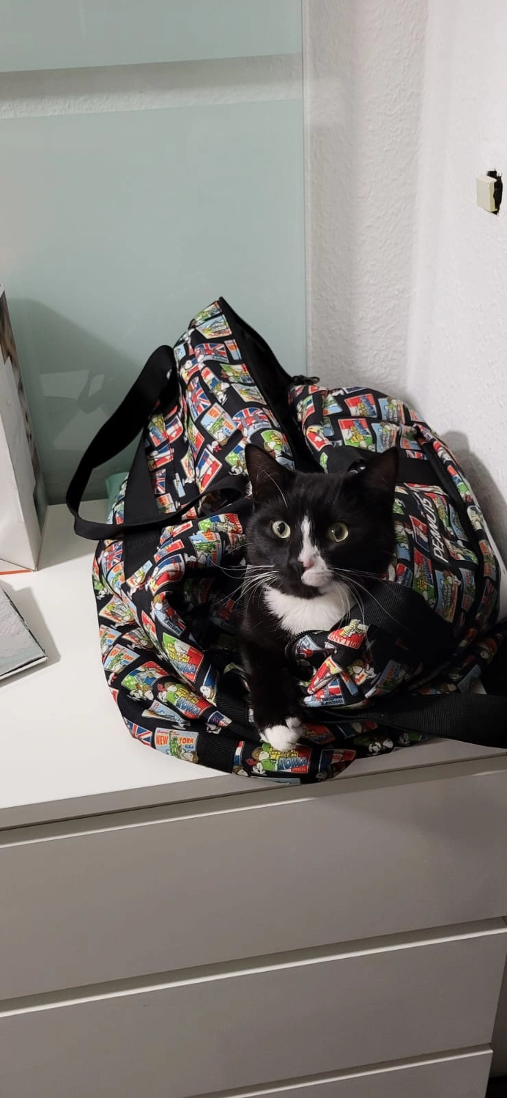 Alfredo  - Johann-Schmitz-Straße, Euskirchen