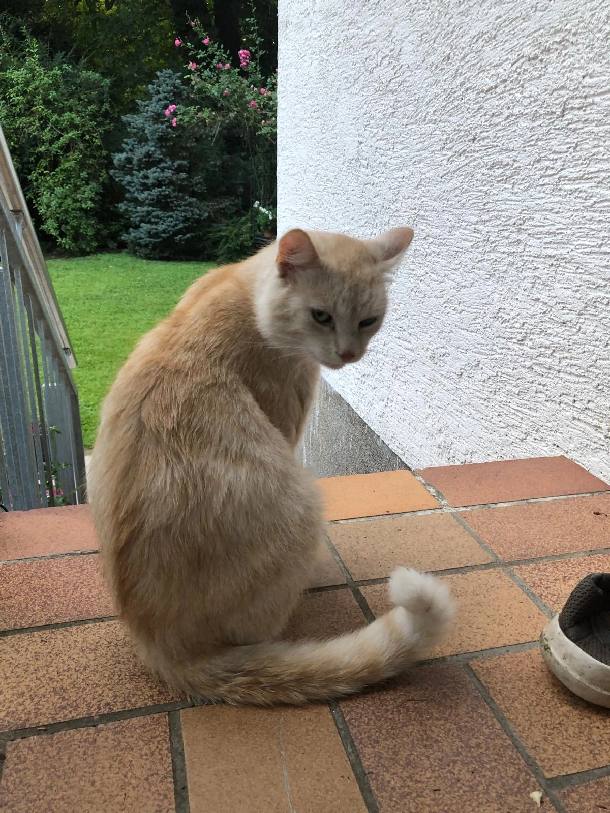 Minio - Auf der Insel 15, Frankfurt am Main