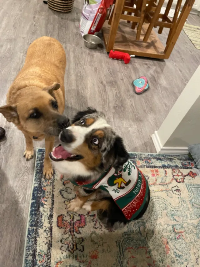 Lena and Max - Scott St, Odessa