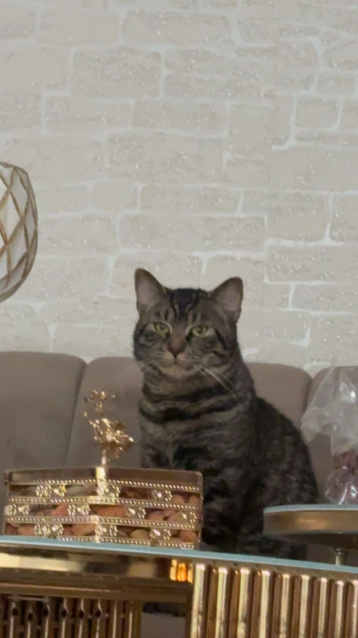 Pasha - Ferdinand-Porsche-Straße, Bonn