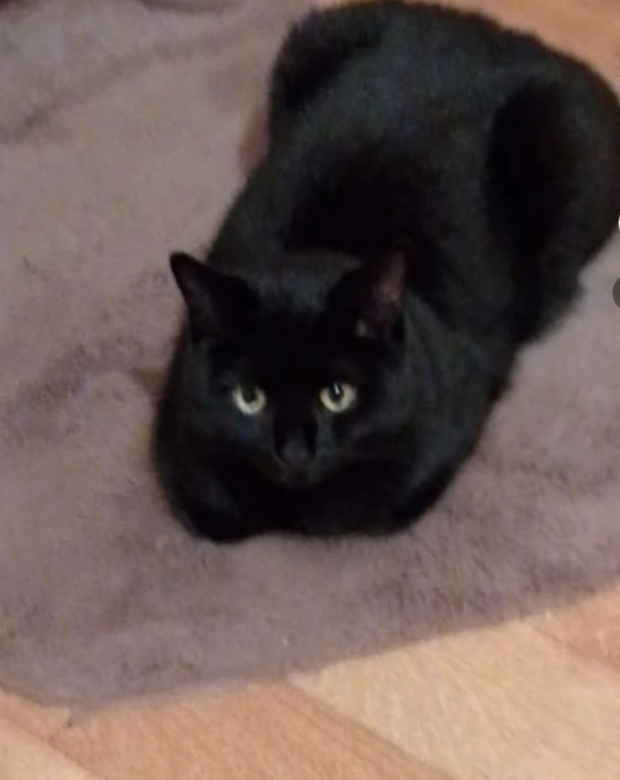 Hulijo - Hauptstraße, Allendorf