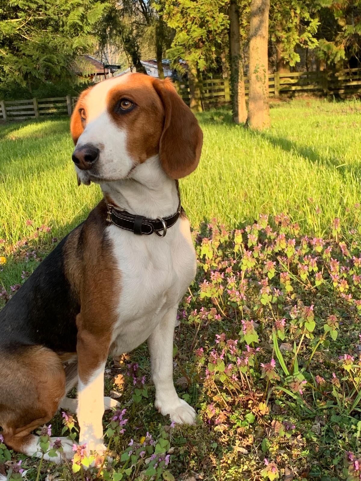 Hildegard  - Flottstelle, Schwielowsee