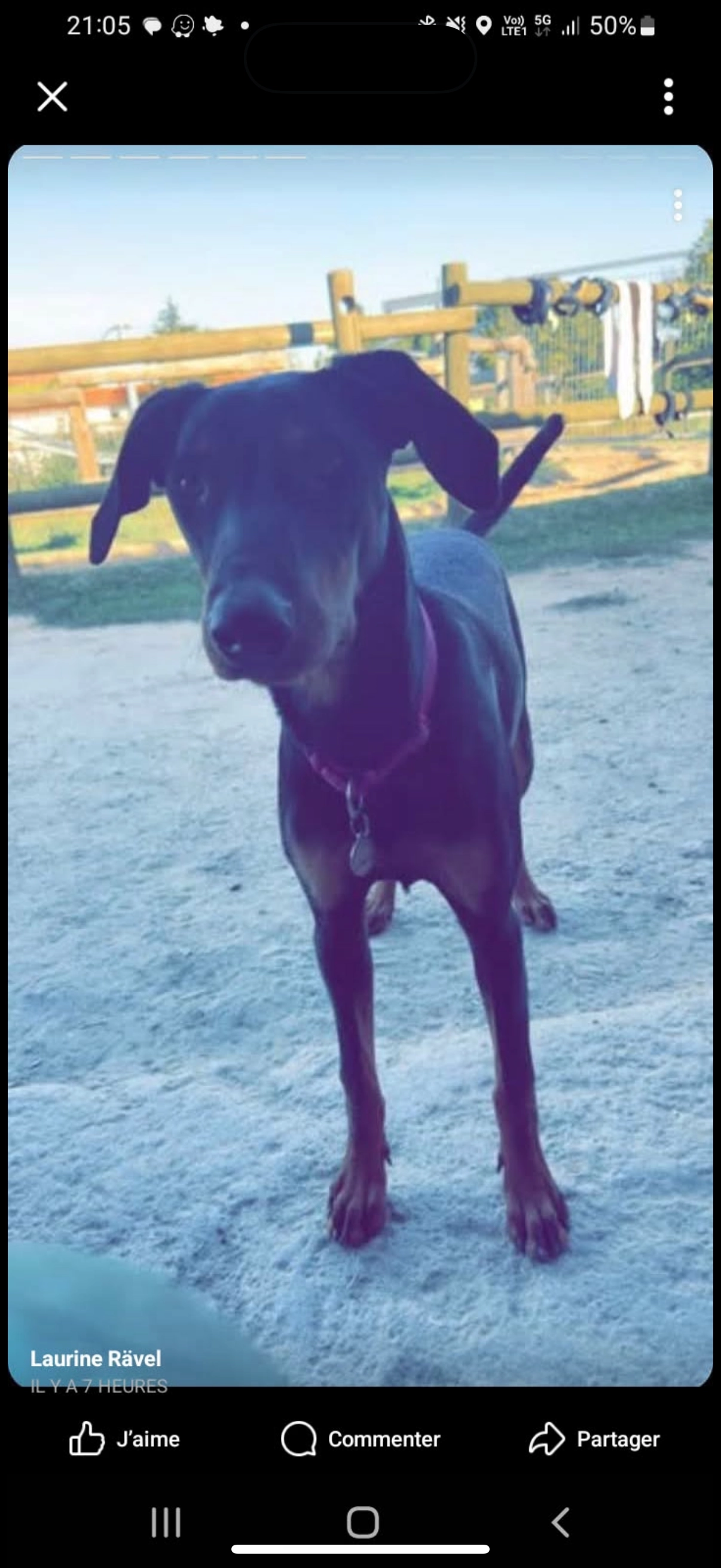 Uska - Les Marceaux, Saint-Étienne-le-Molard