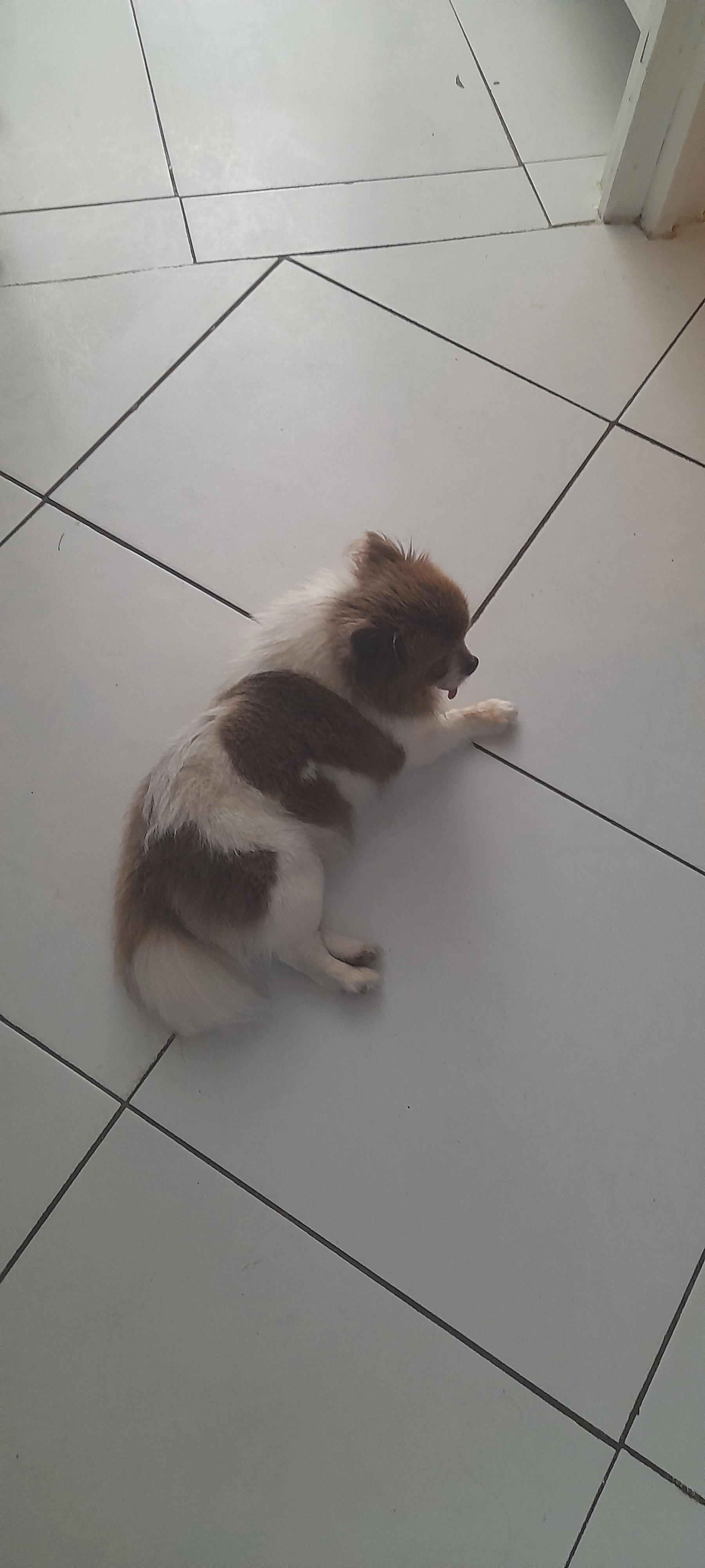 BM - Avenue de Lattre de Tassigny, Vitrolles