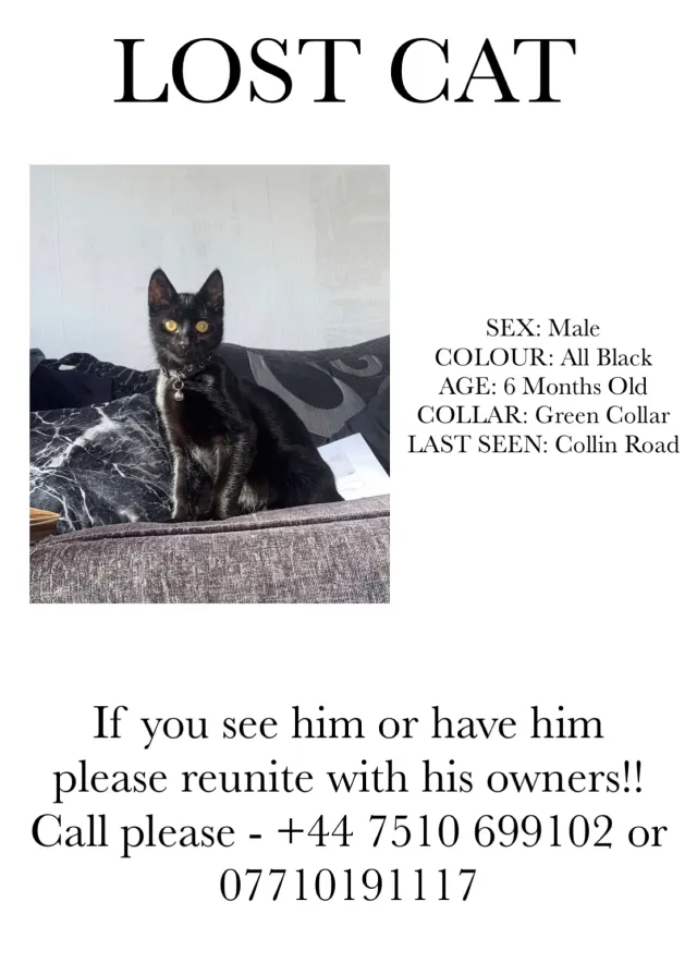 Pepper - Collin Road, Prenton