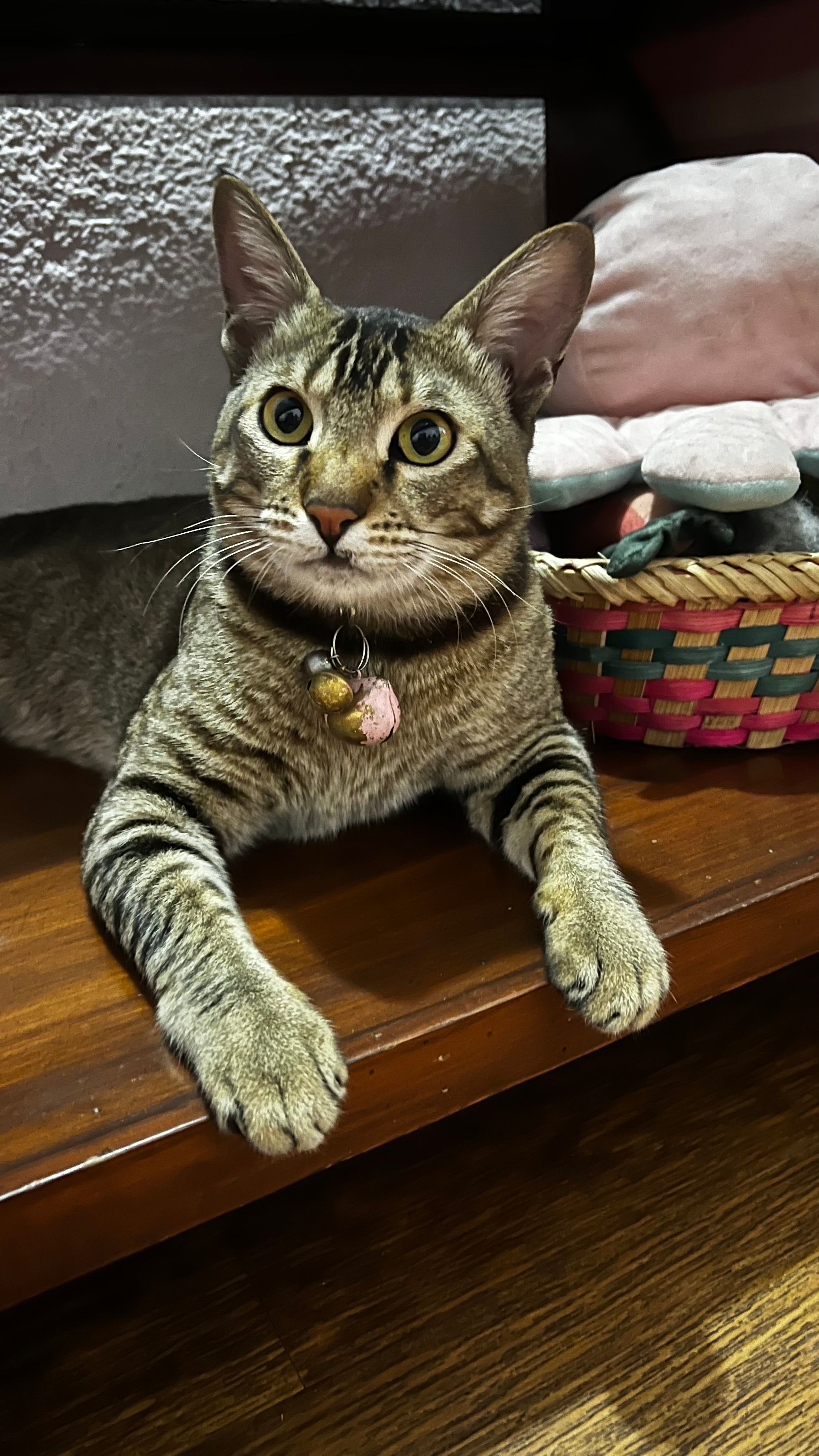 Mintu - Battisputali, Kathmandu