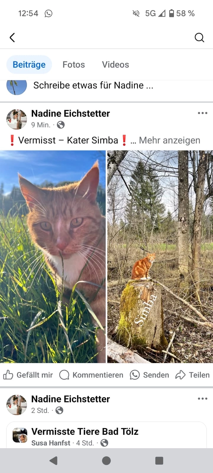 Simba - Bibermühle, Wackersberg