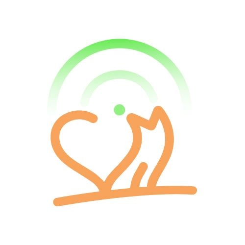 test - 00120, CittΓ del Vaticano