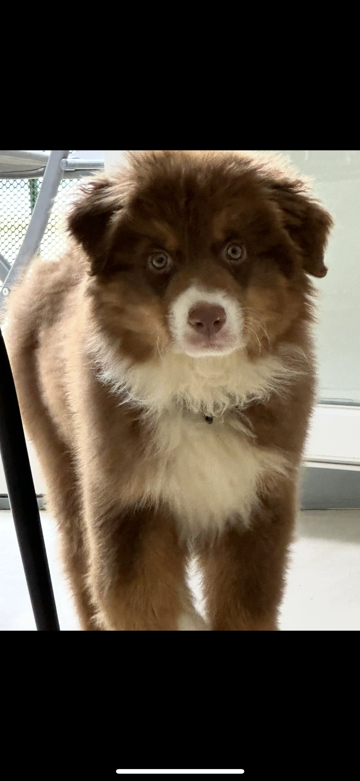 Aïcko  - Résidence Bellevue, Beauvais