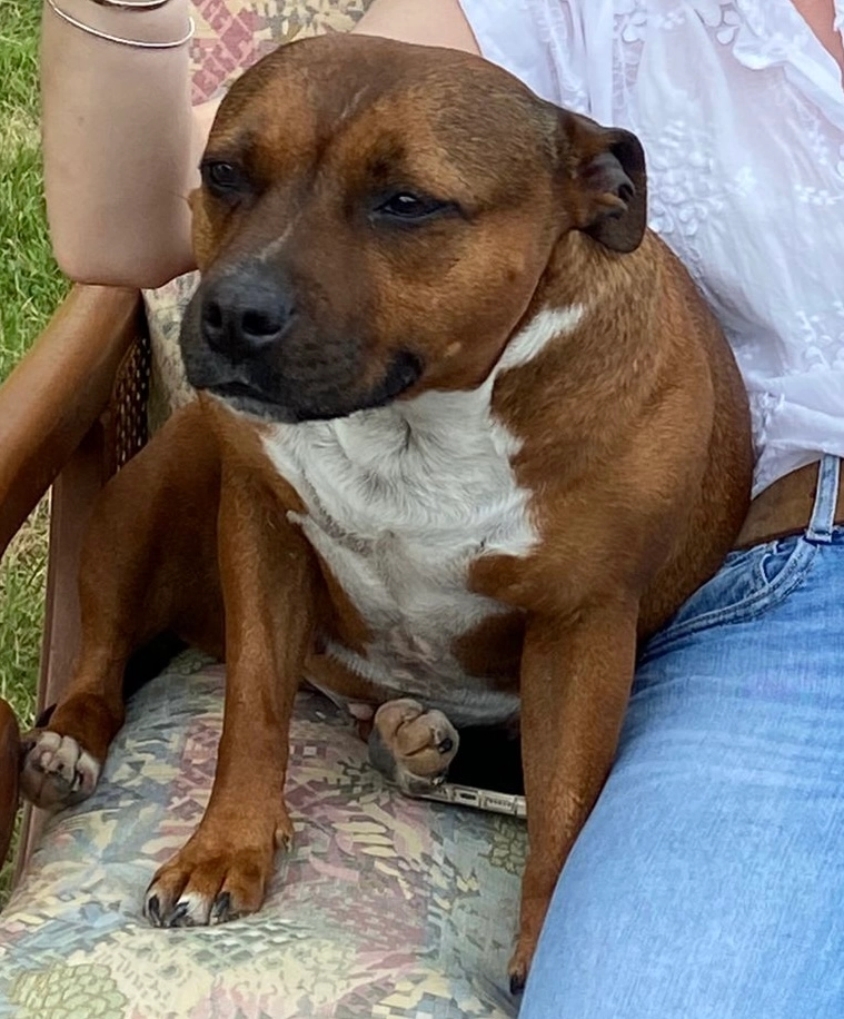 Boulette - Route De Graulhet, Cadalen