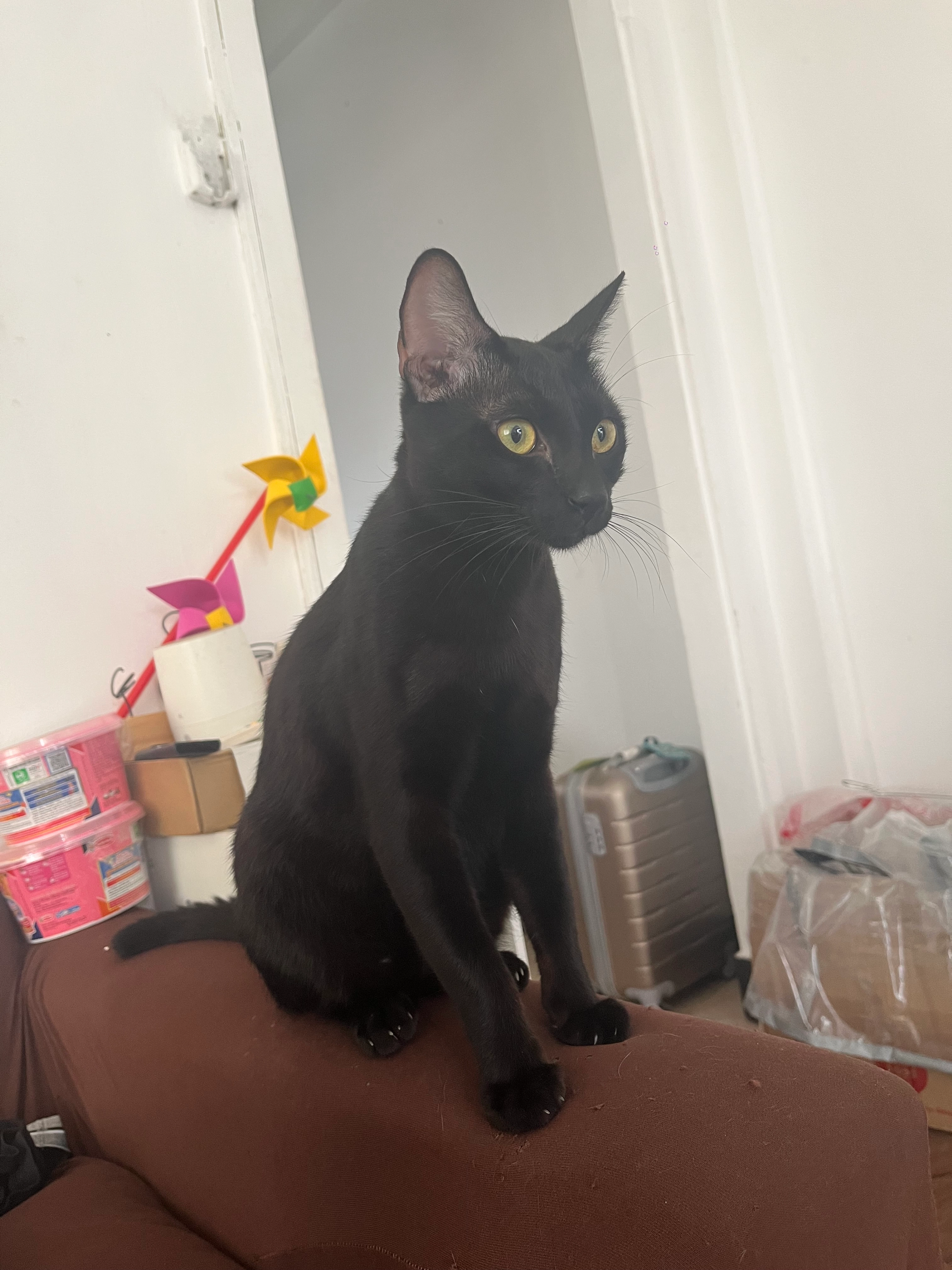 Mờ - Hẻm 33 Lý Văn Phức, Hồ Chí Minh