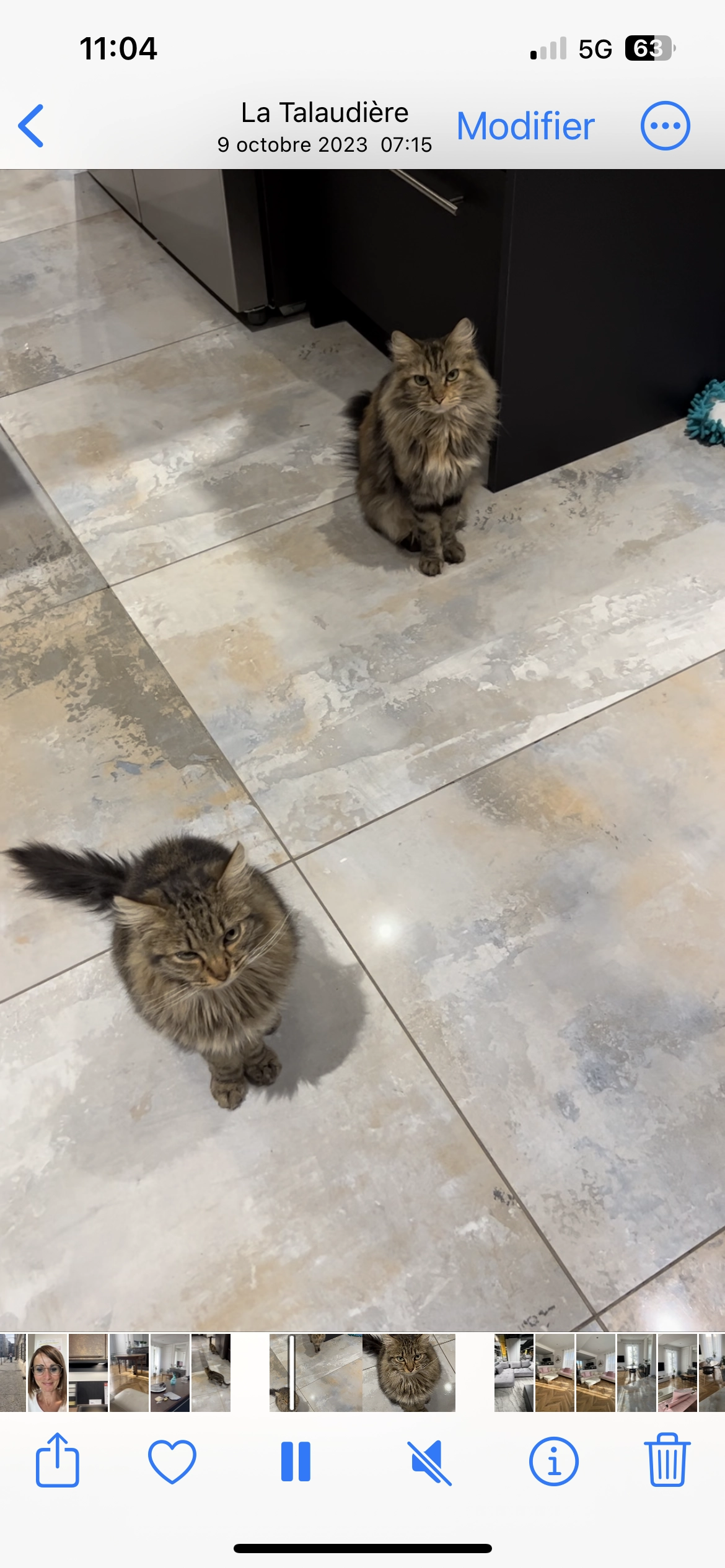 Finfy - 2 Rue du Gros Chêne, La Talaudière