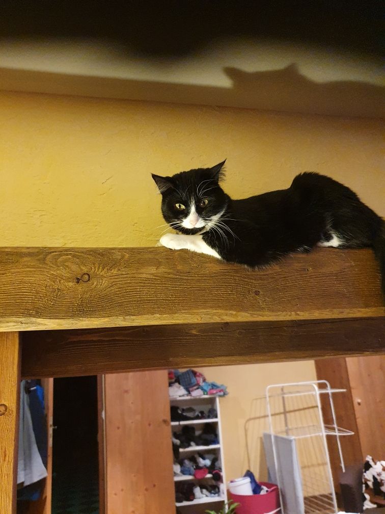 Cookies  - Route Des Combes, Saint-Nicolas-la-Chapelle