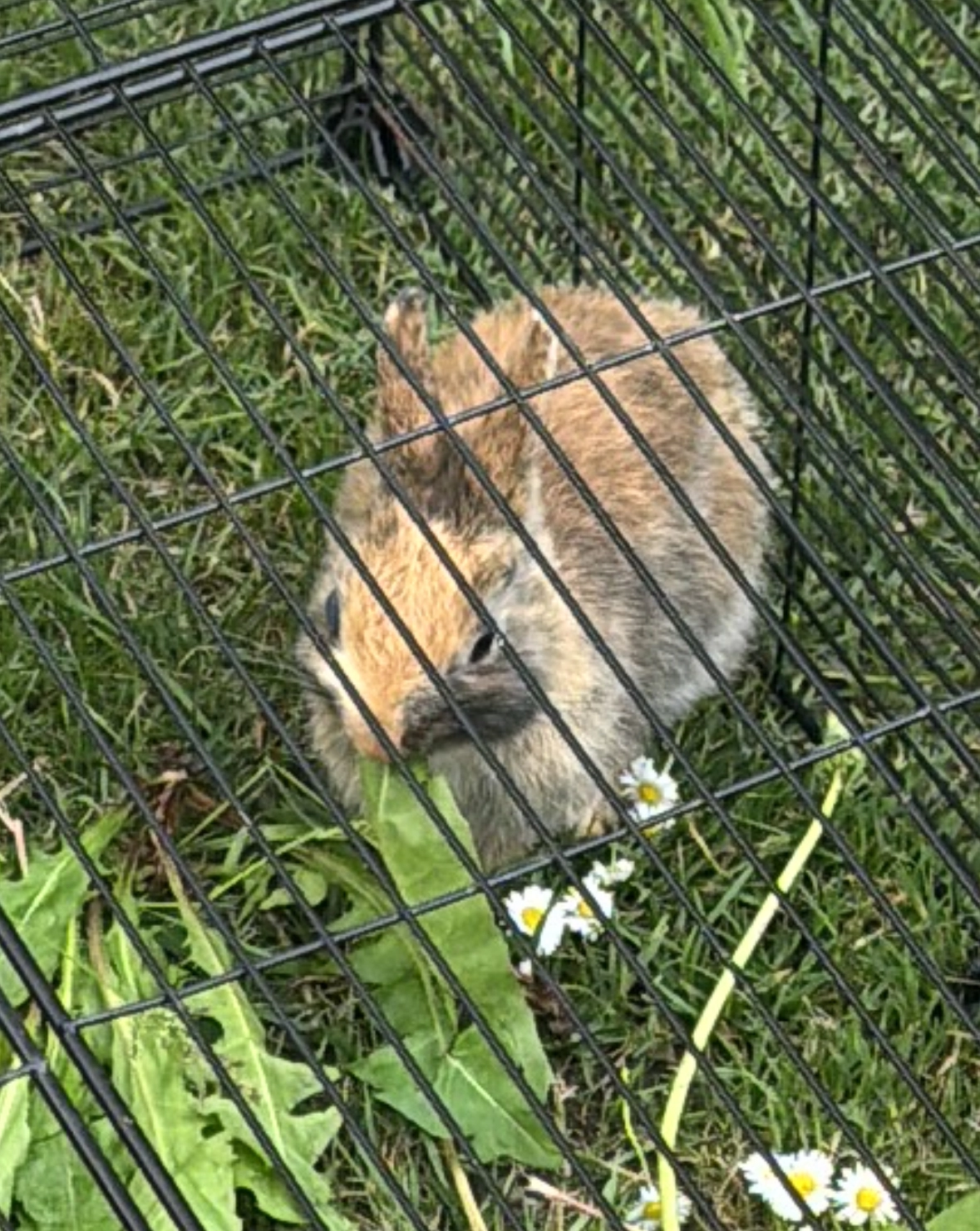 Cogolin - Route Du Pont De Vinaigre, Cogolin