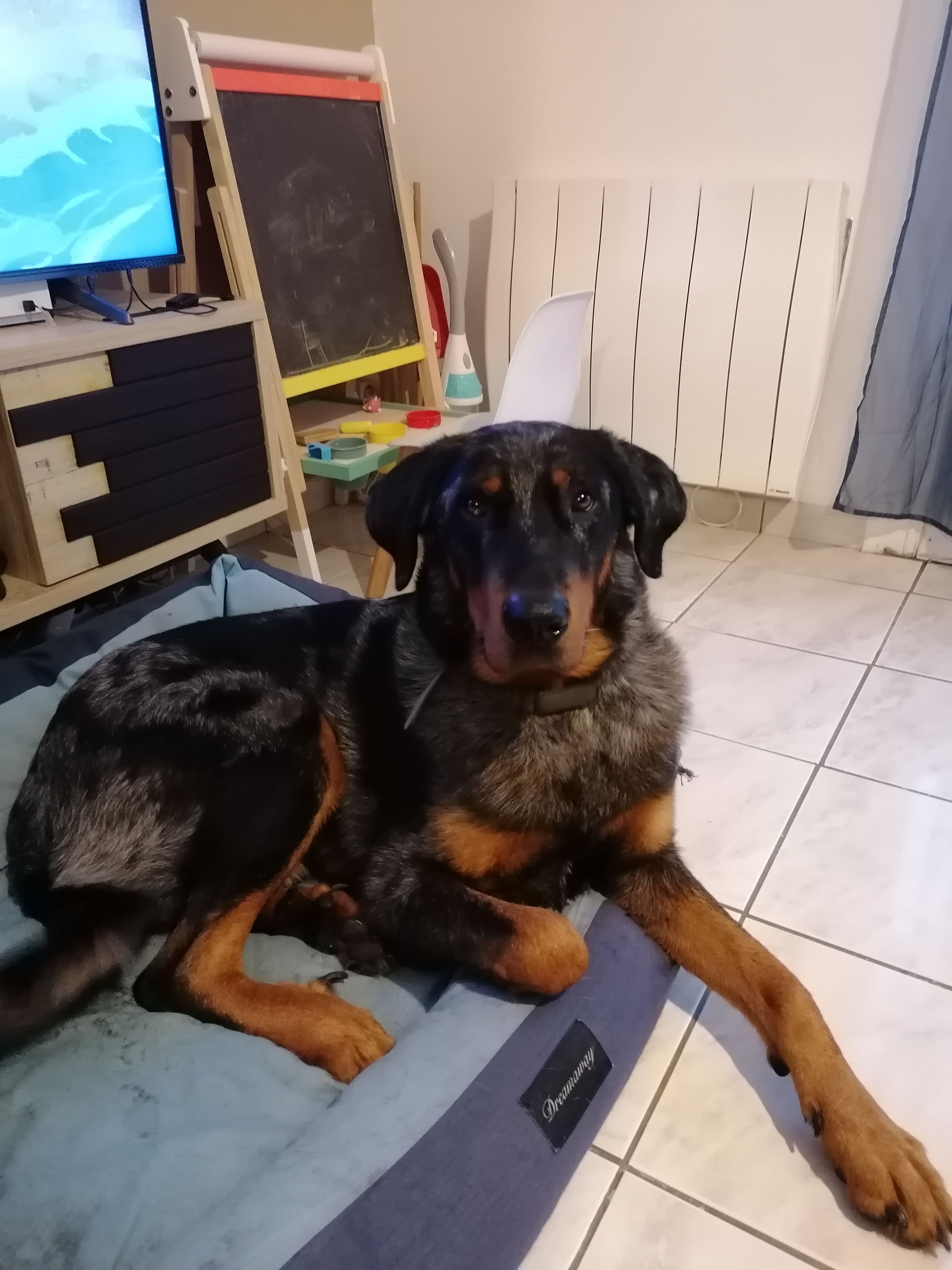 Taïko  - 13 Impasse de Thoury, Neuvy