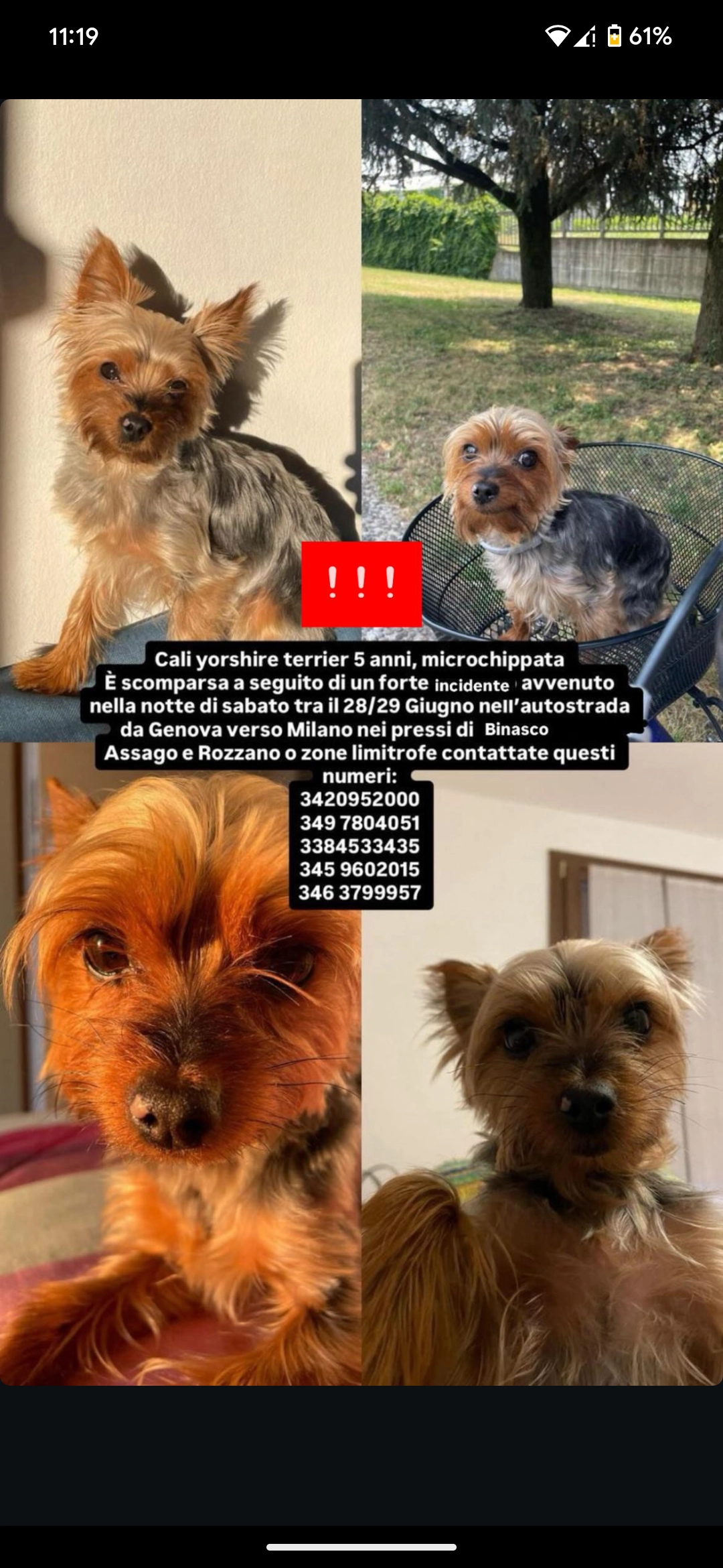 Cali - Autostrada Dei Giovi - Serravalle, Assago