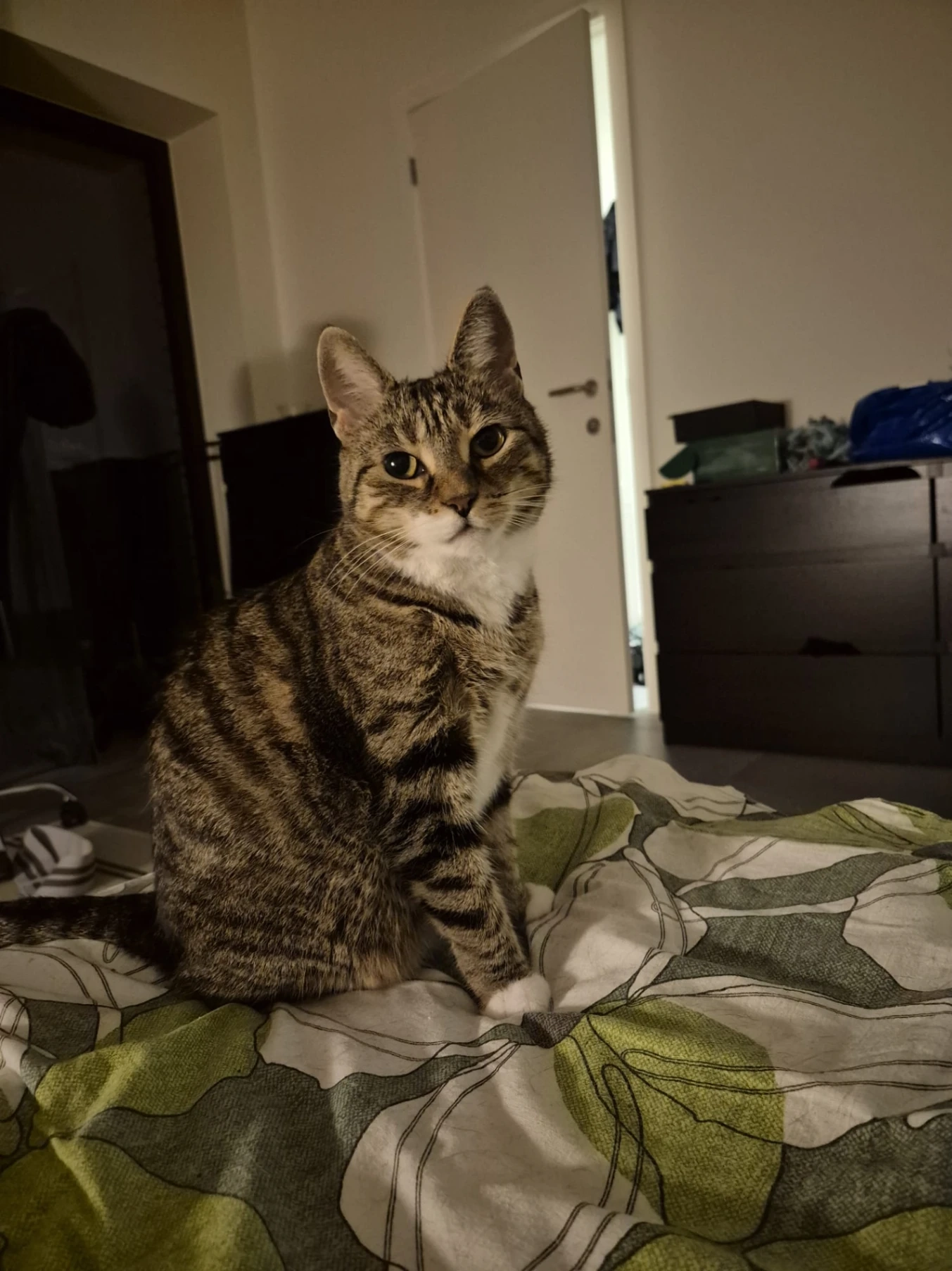 Korven - Elsstraat, Gent