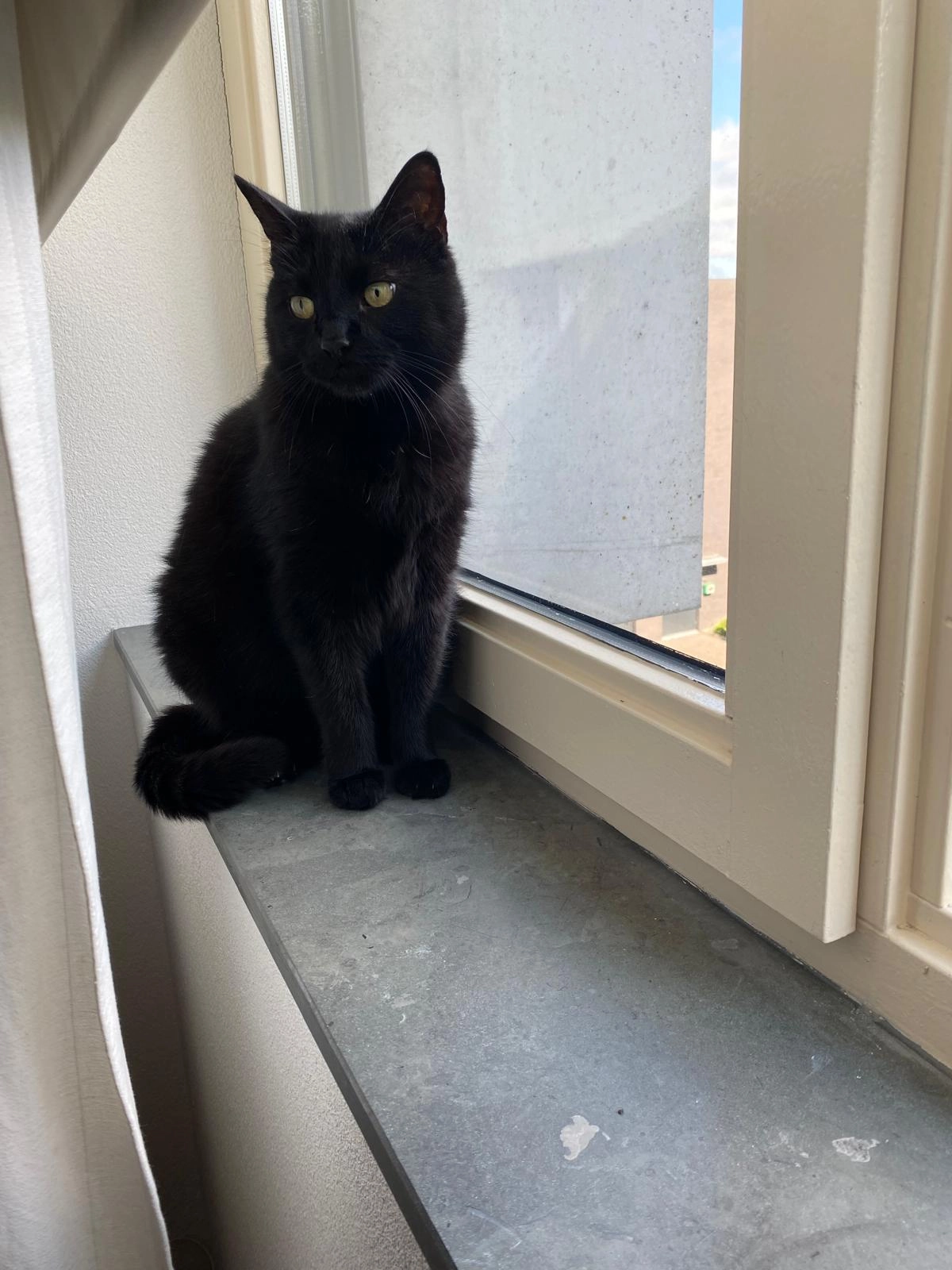 Boaz - Zandstraat, Noord-Brabant