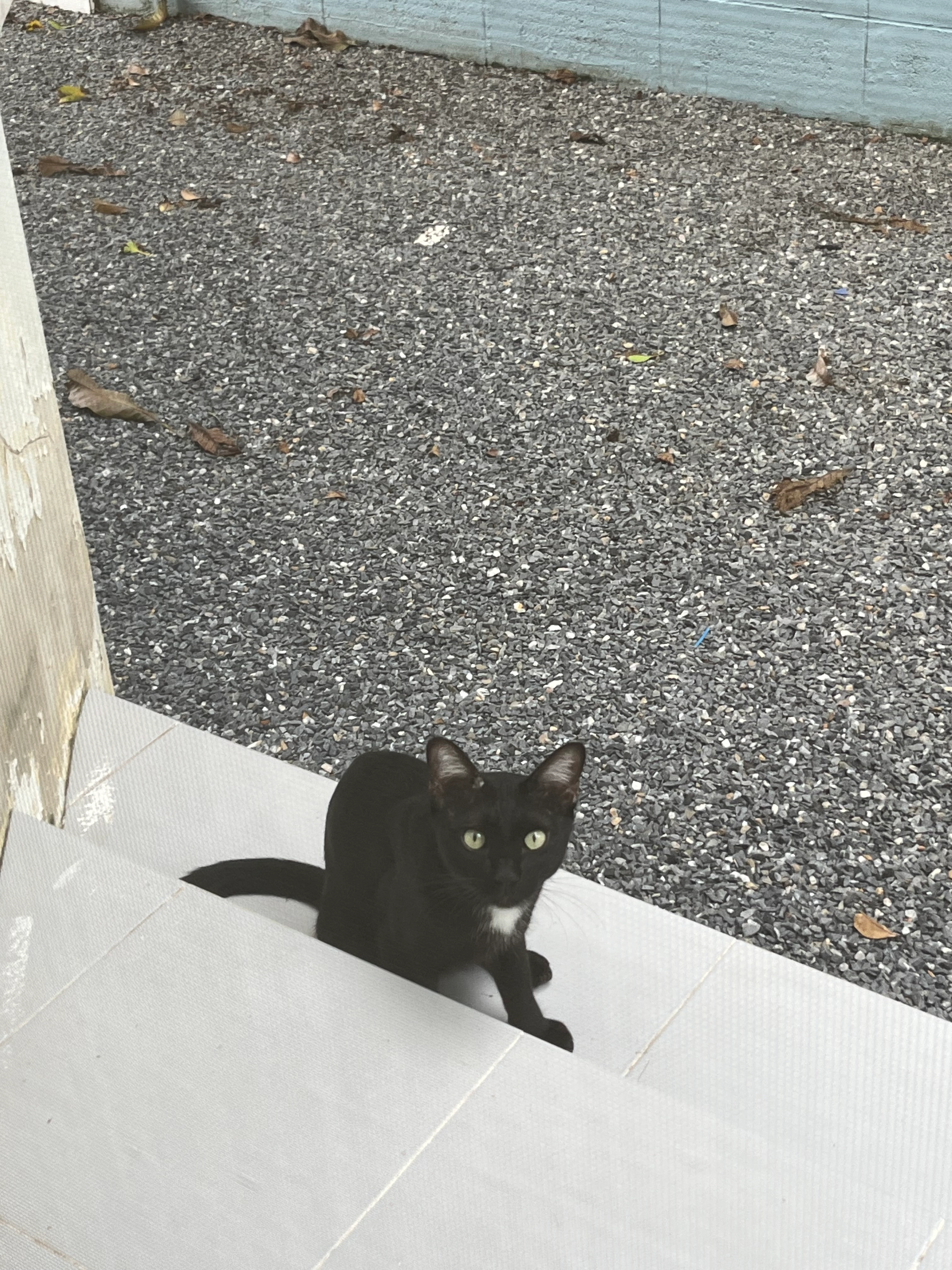 Simba - 10540, Bang Phli