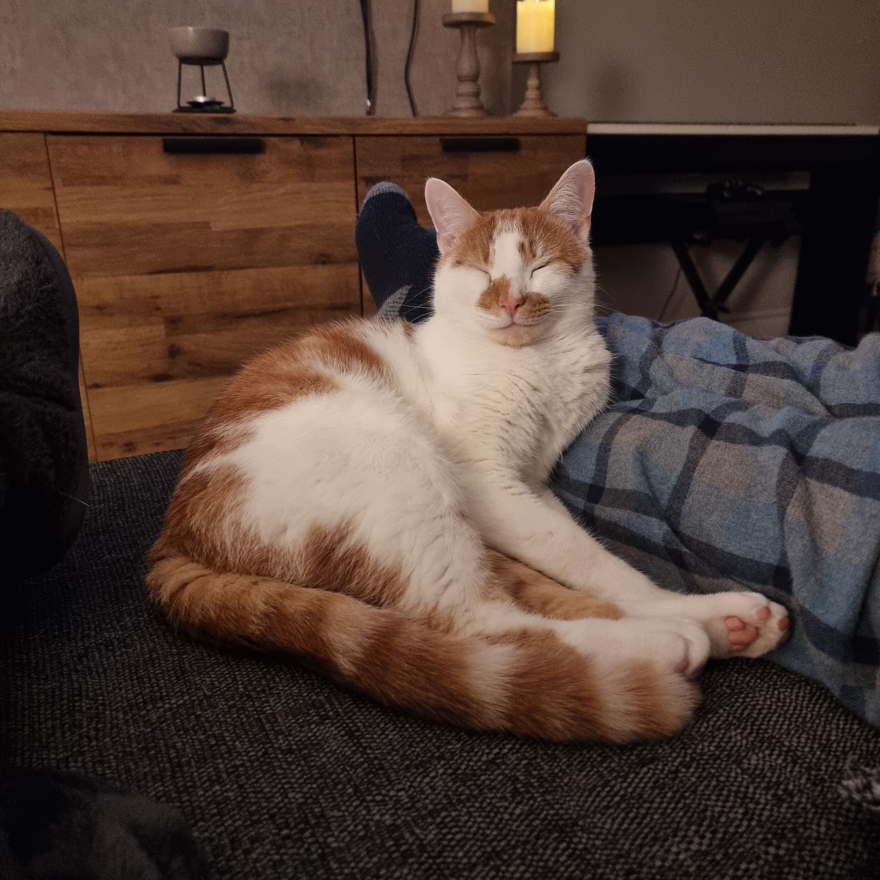 Chibs  - Carron Avenue, Kilmarnock