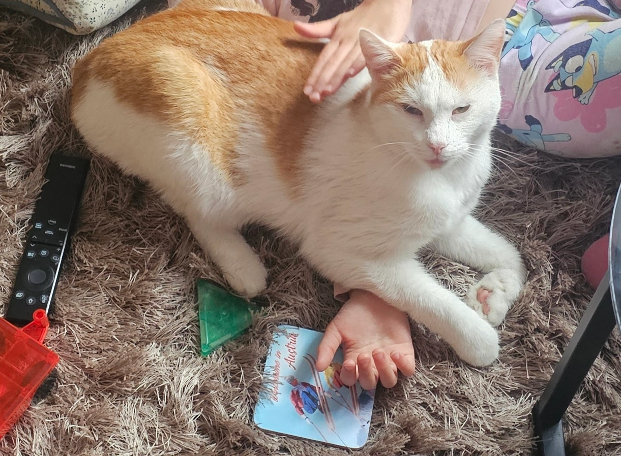 Seppi - Steinergasse, Zell am See