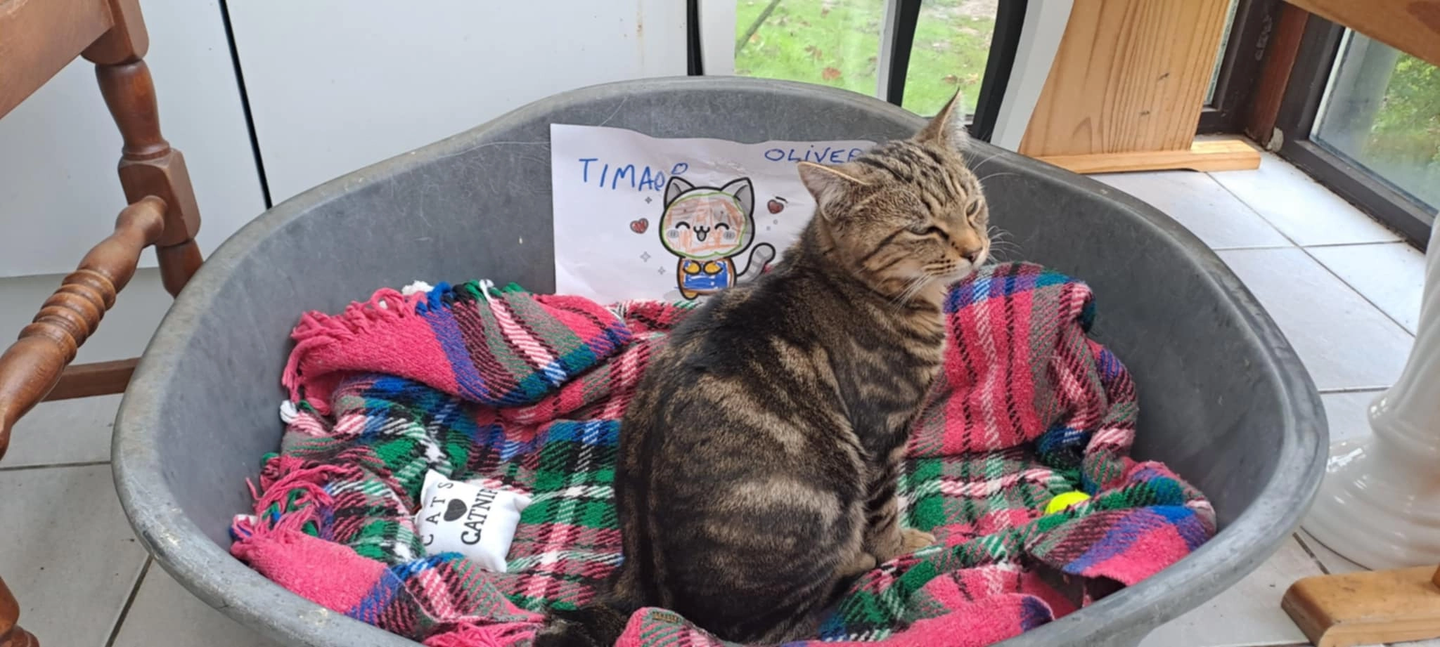 Oliver - 48 Rue du Calvaire, Coulogne