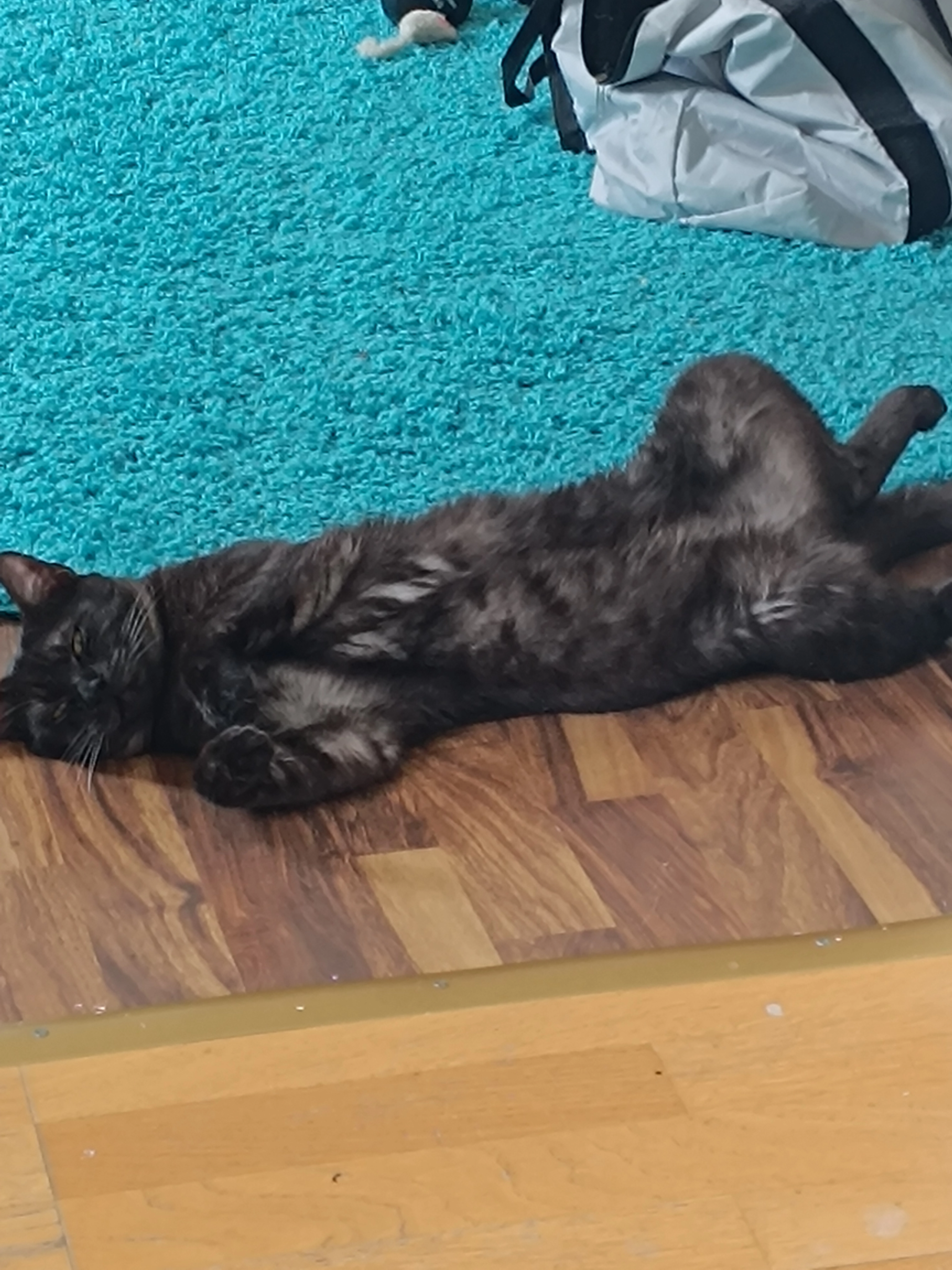 Brumík - Arnsteinstraße, Voitsberg