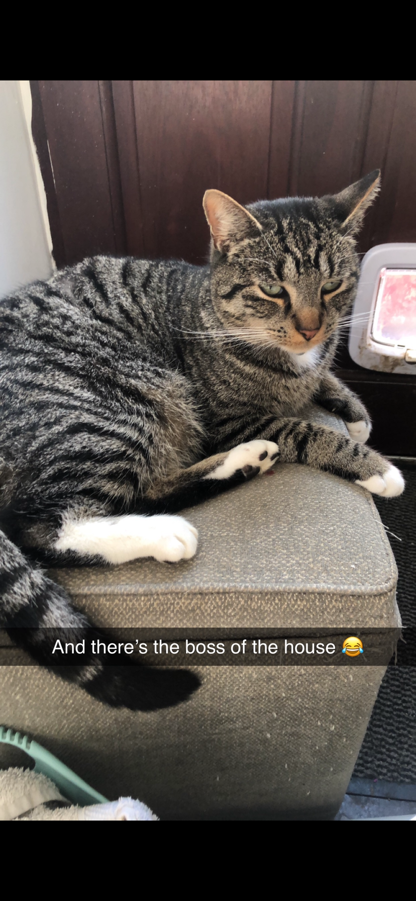 Bubbles  - The Lawn, Kilculliheen