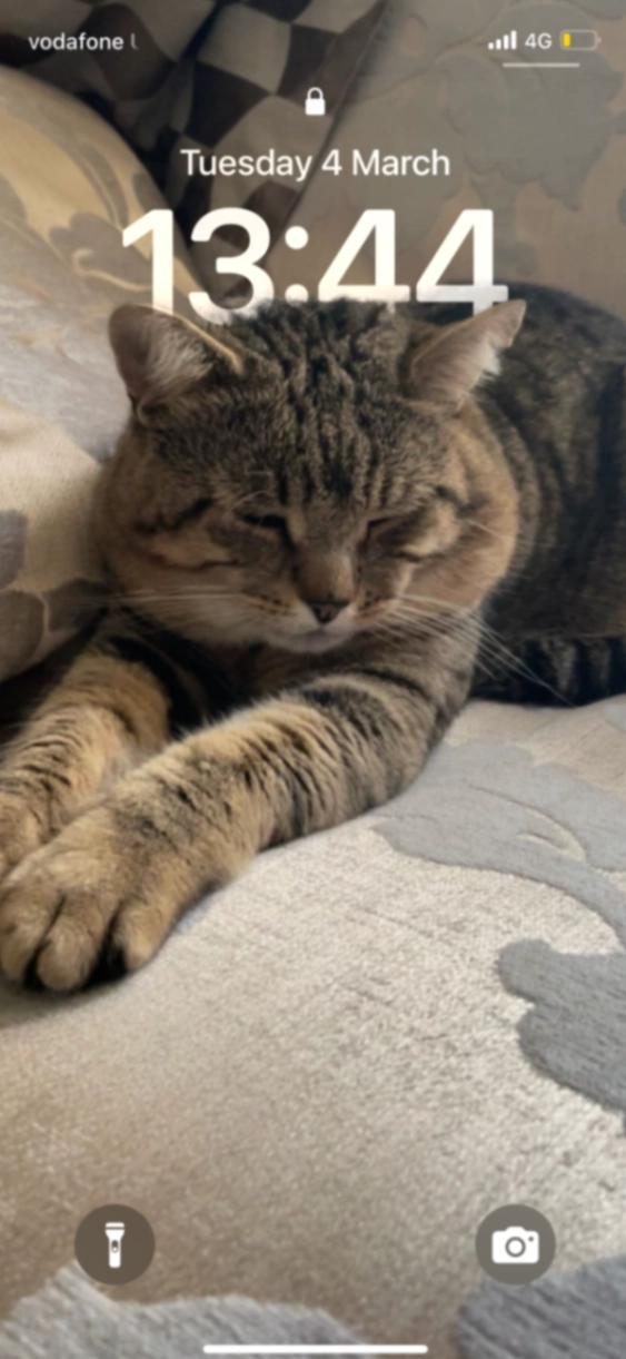 Simba - TW8 0, Brentford