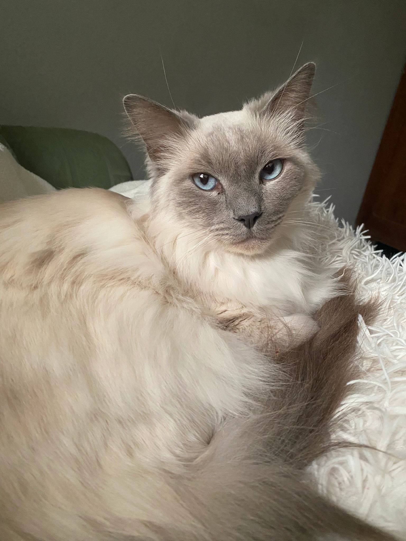 Taki - Domstraße, Greifswald