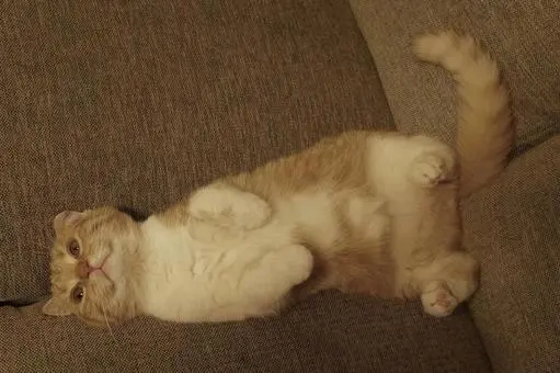 Mia - Changkat Bukit Bintang, Kuala Lumpur